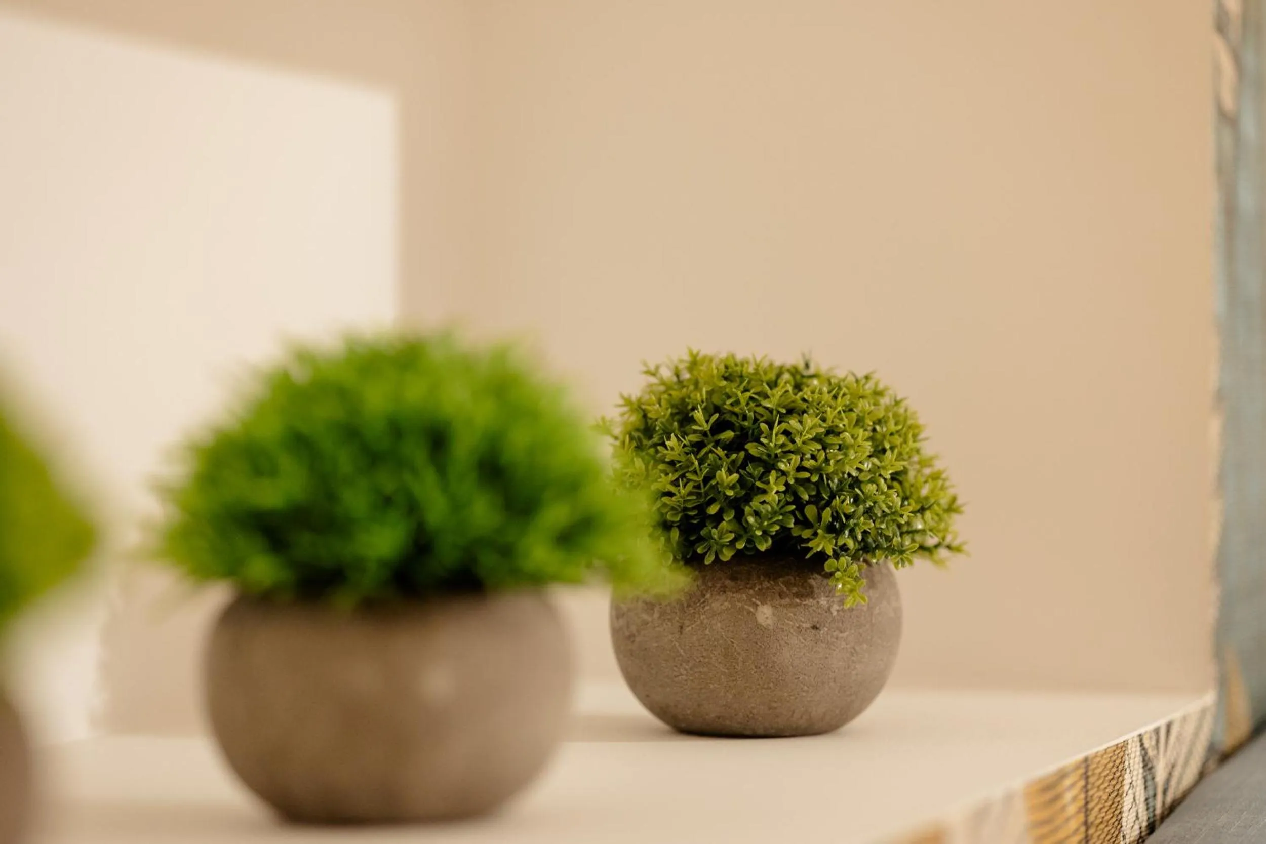 Apartamentos Debambú