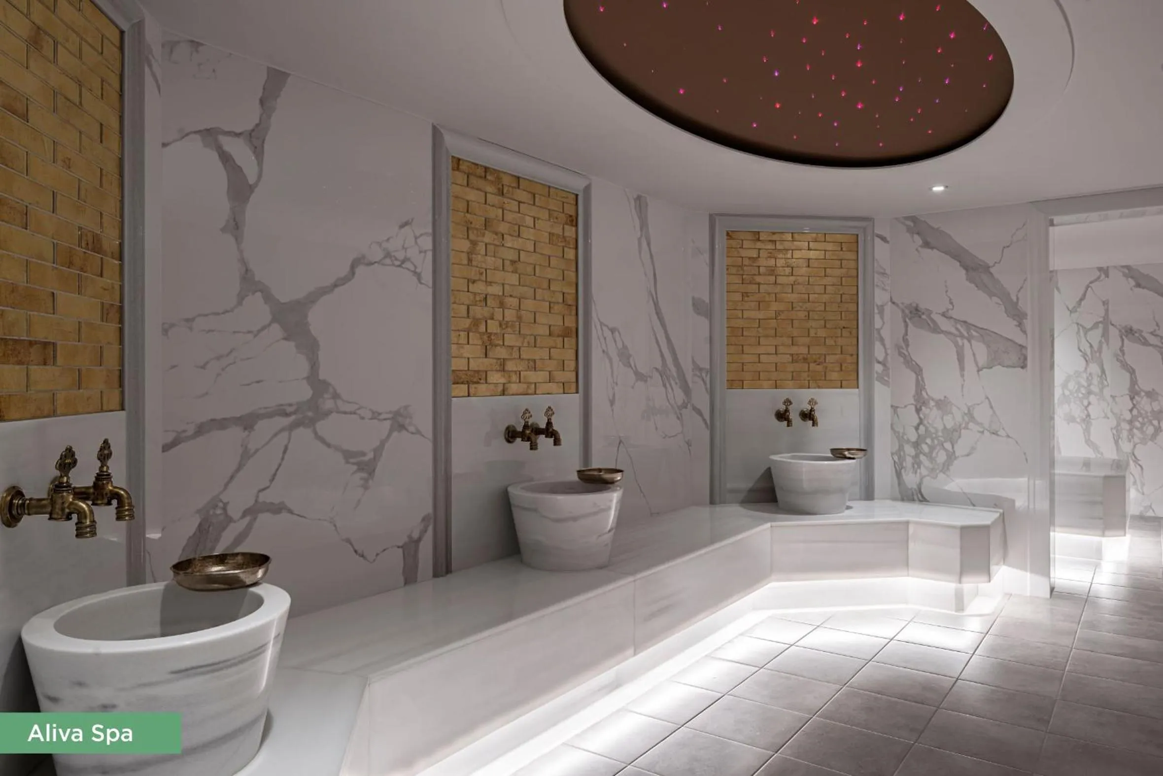 NG Sapanca Wellness & Convention