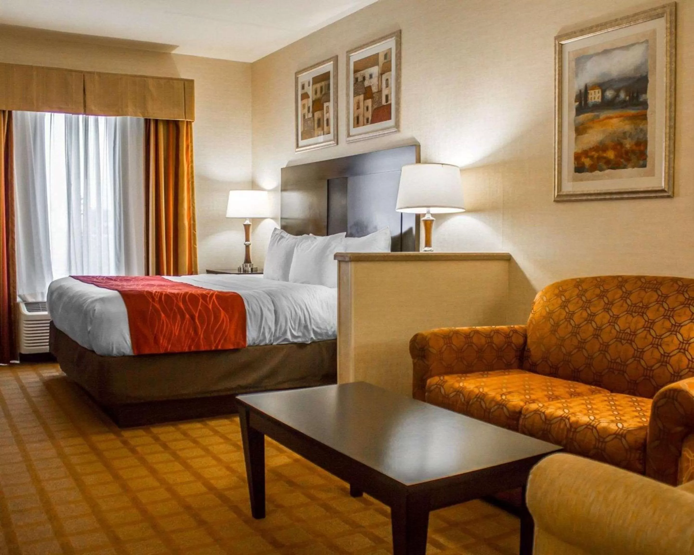 Photo of the whole room in Comfort Suites Edinboro