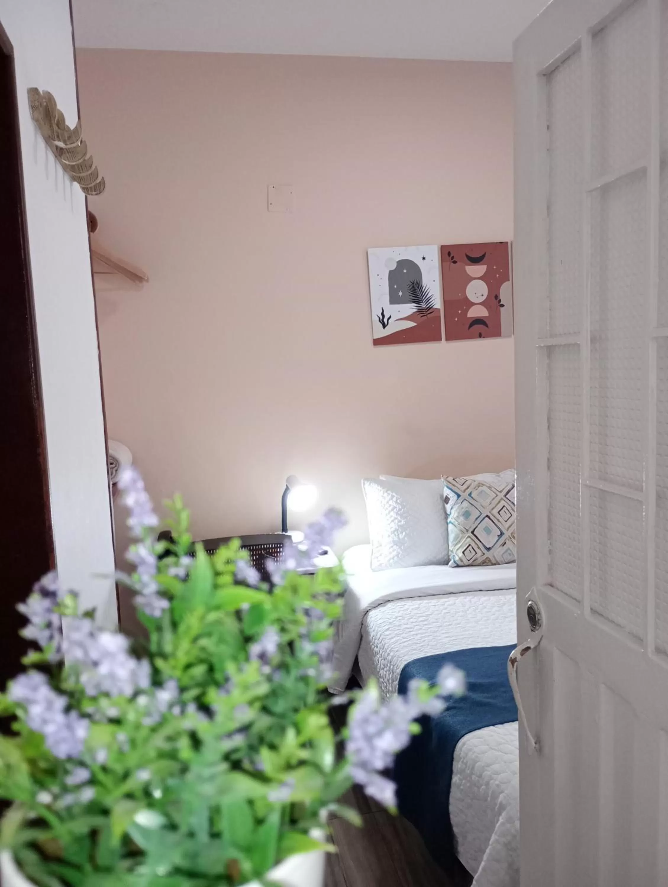 Photo of the whole room in Hotel Maceo 55 - Colonial Inn