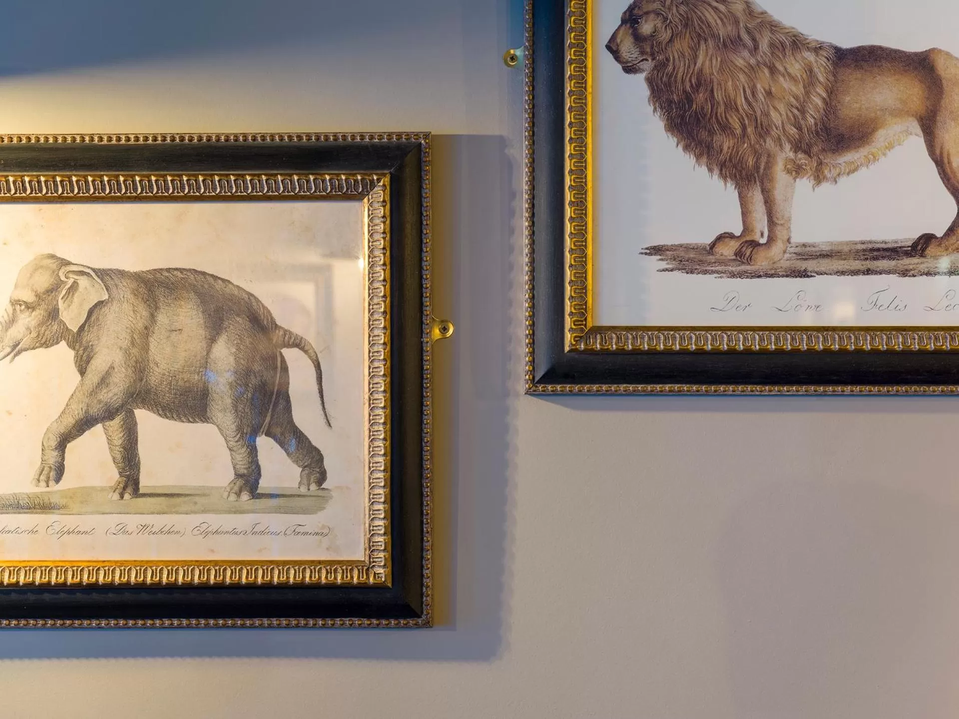 Decorative detail in The Merchant's House, BW Signature Collection