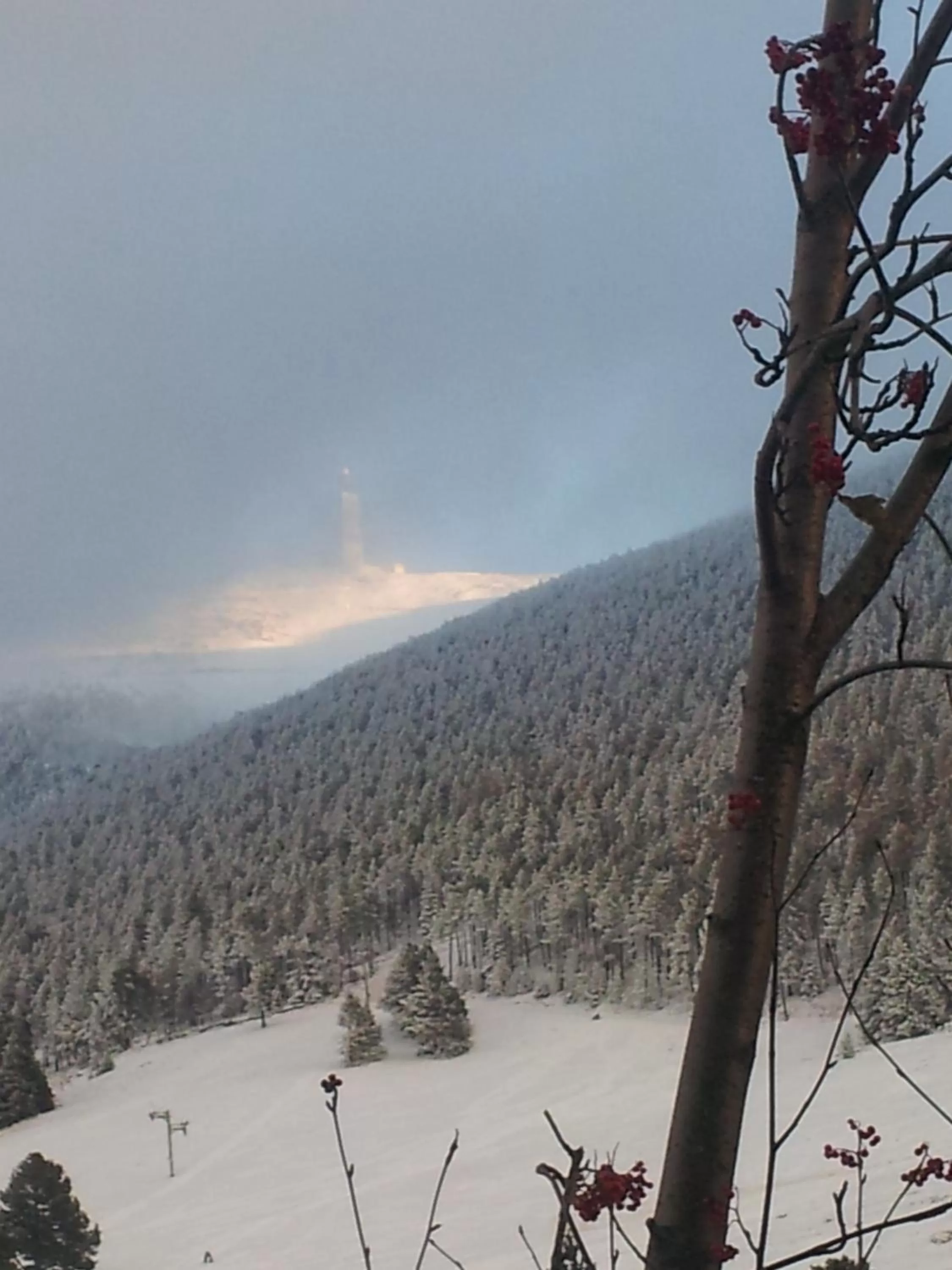 Winter in Chambres d'Hôtes Aux Tournesols