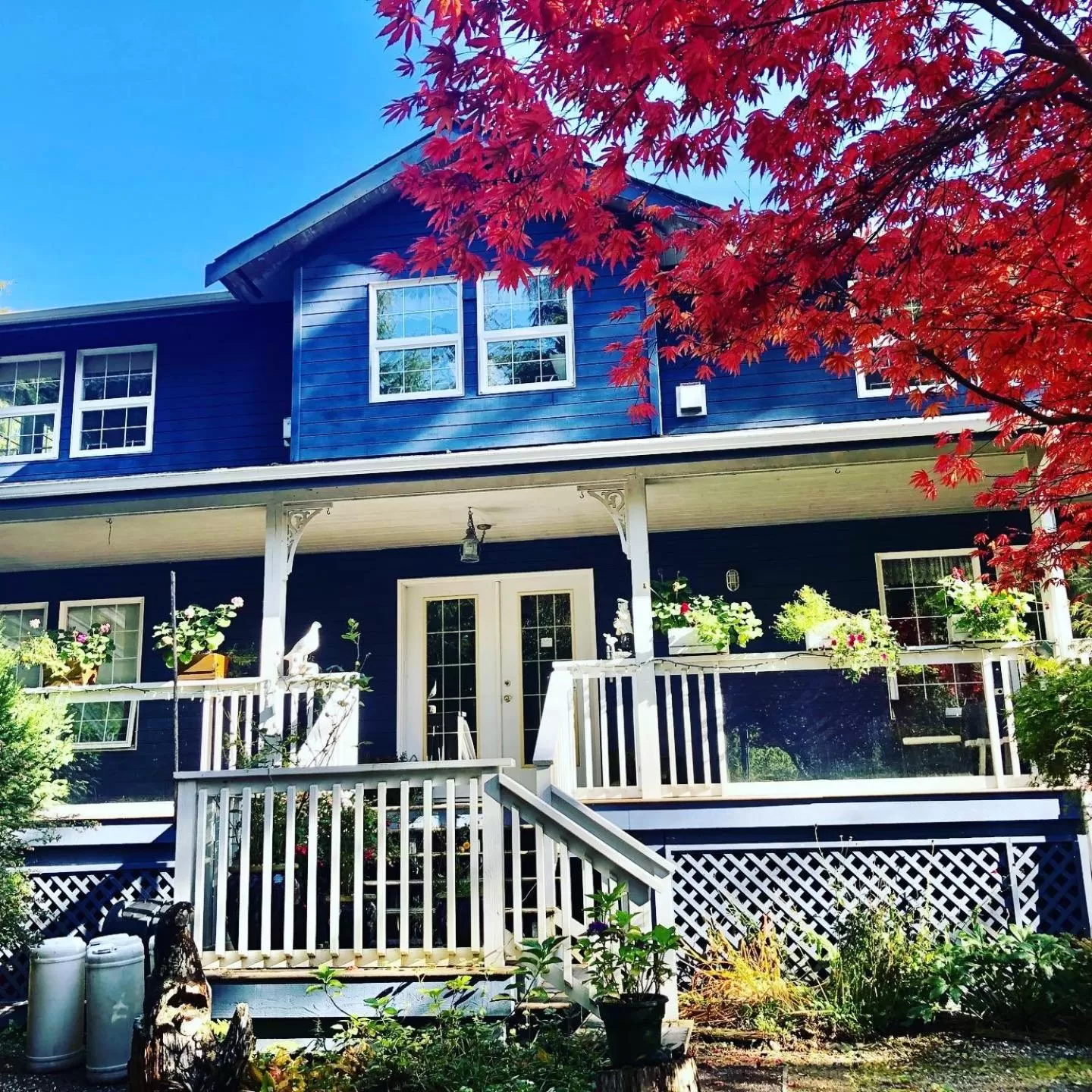 Seafarer Bed & Breakfast