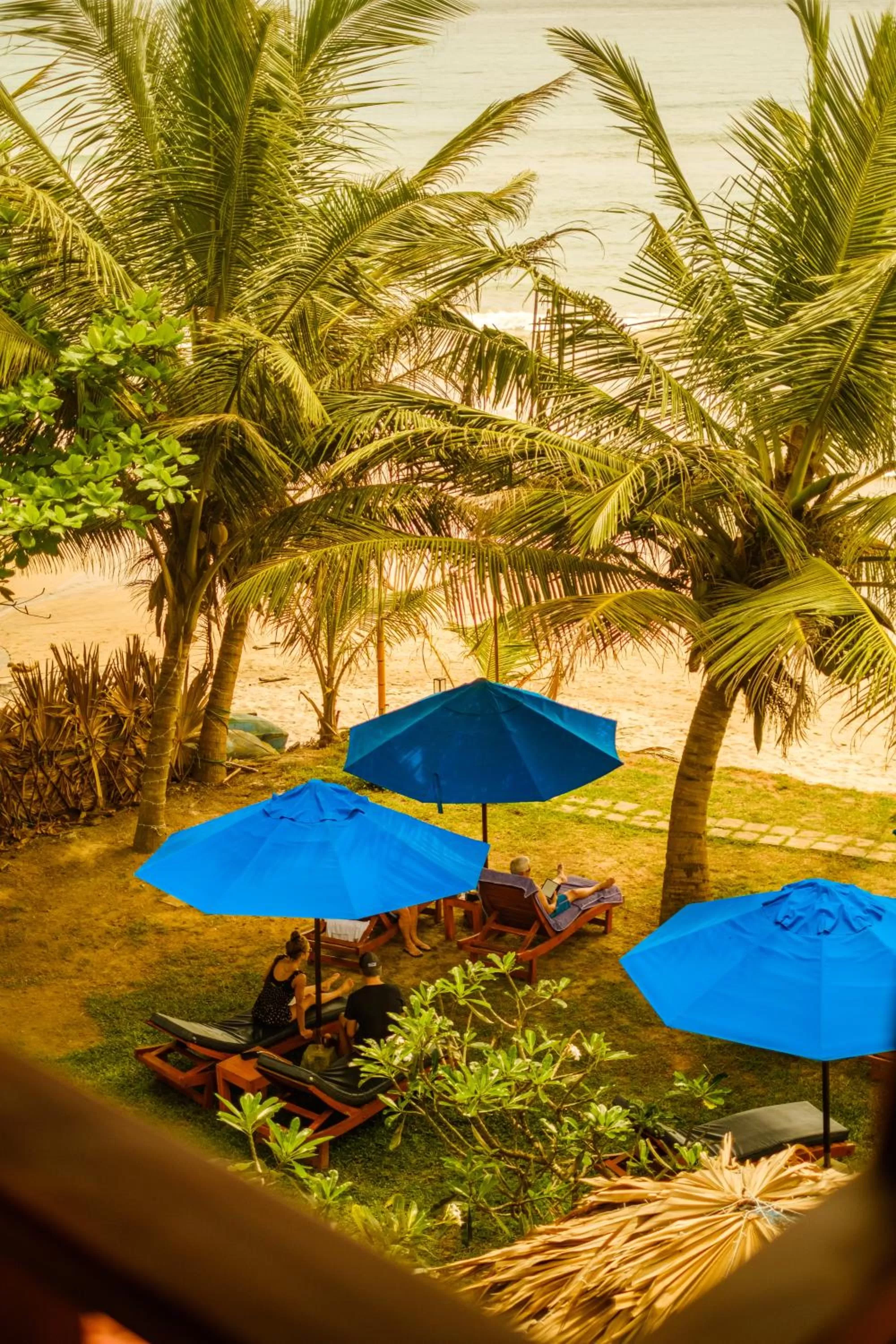 Garden view in The Seascape