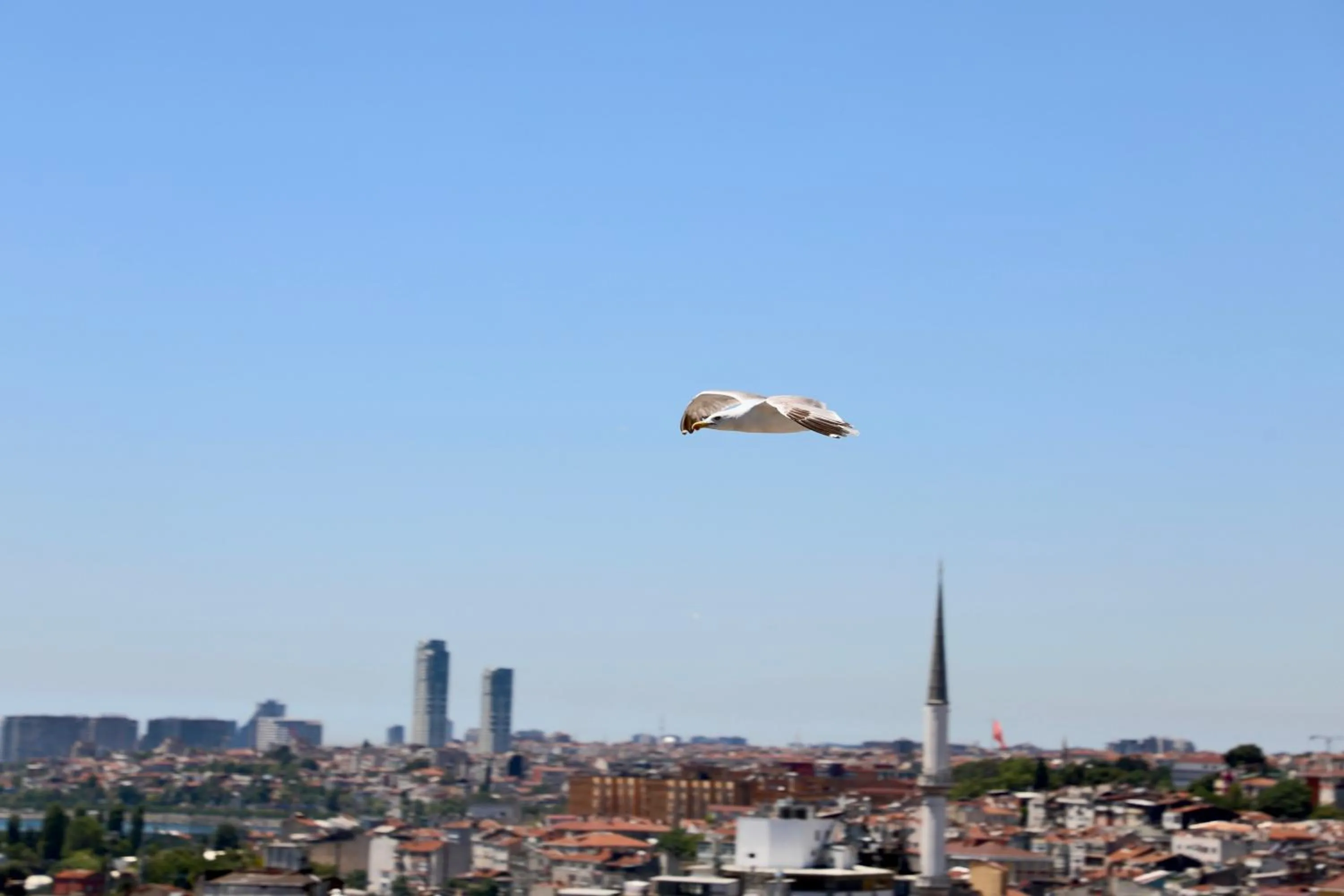 Day in Istanbul Royal Hotel