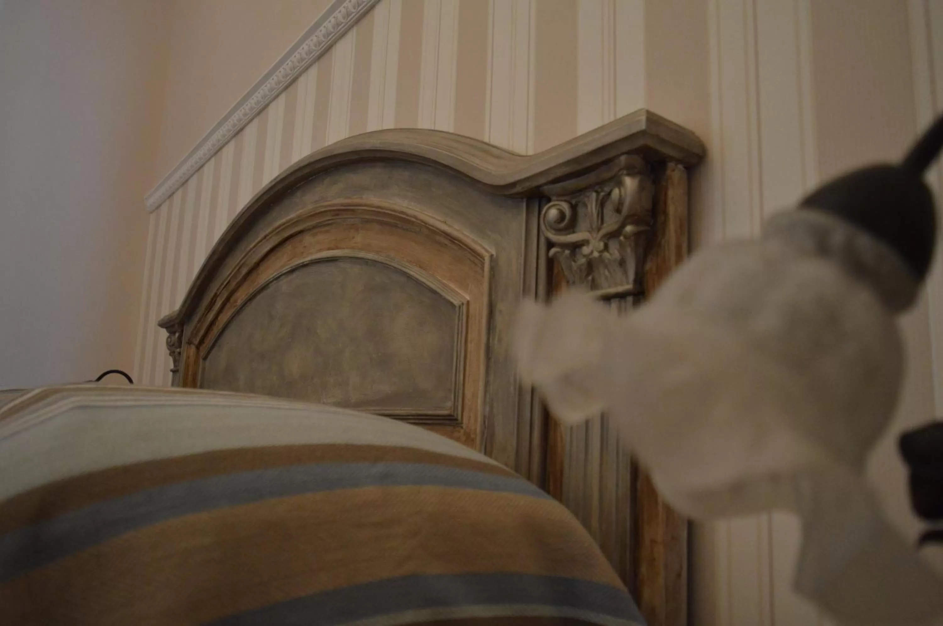 Decorative detail in B&B Al Golfo