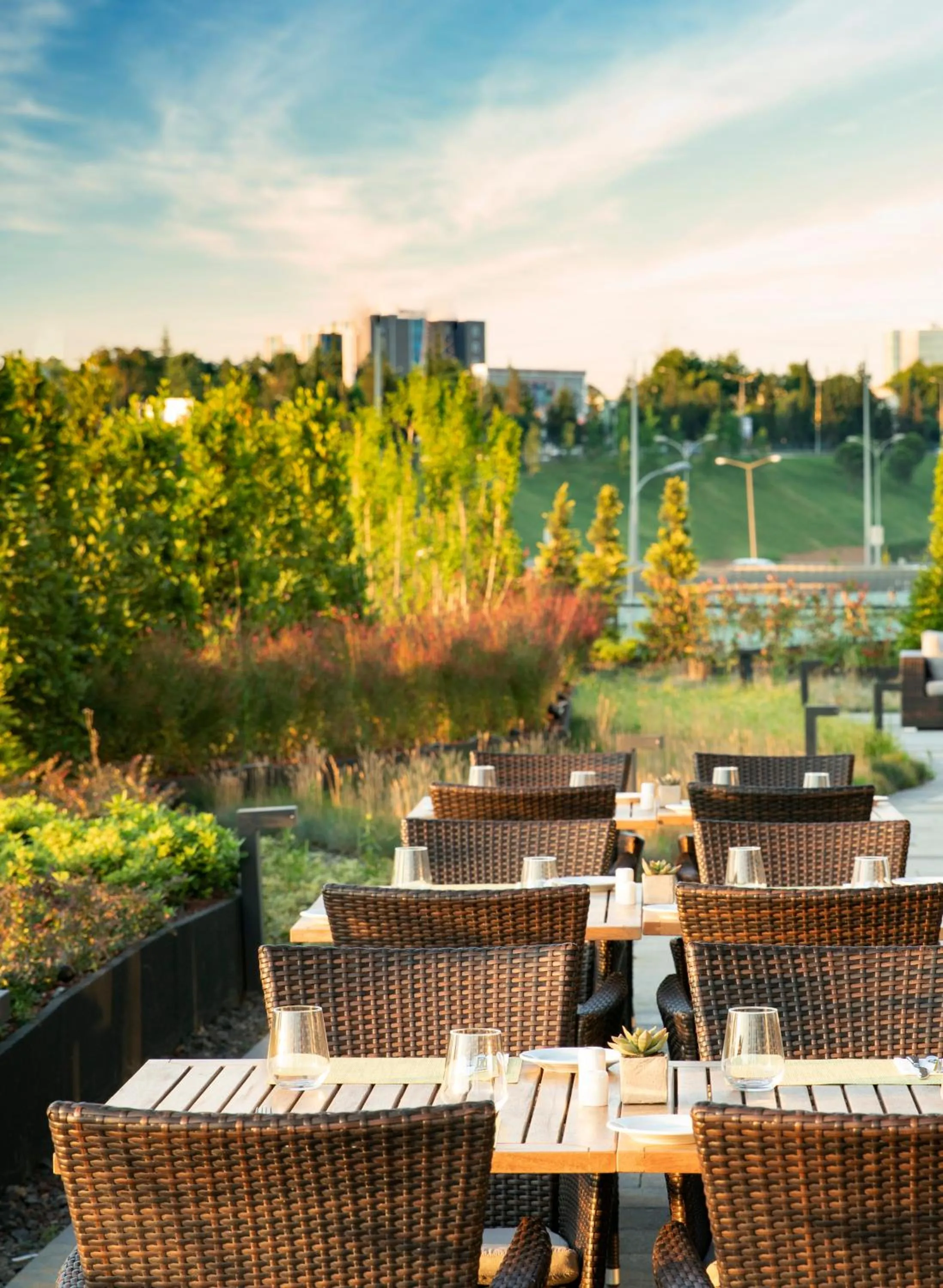 Restaurant/places to eat in Centro Westside by Rotana