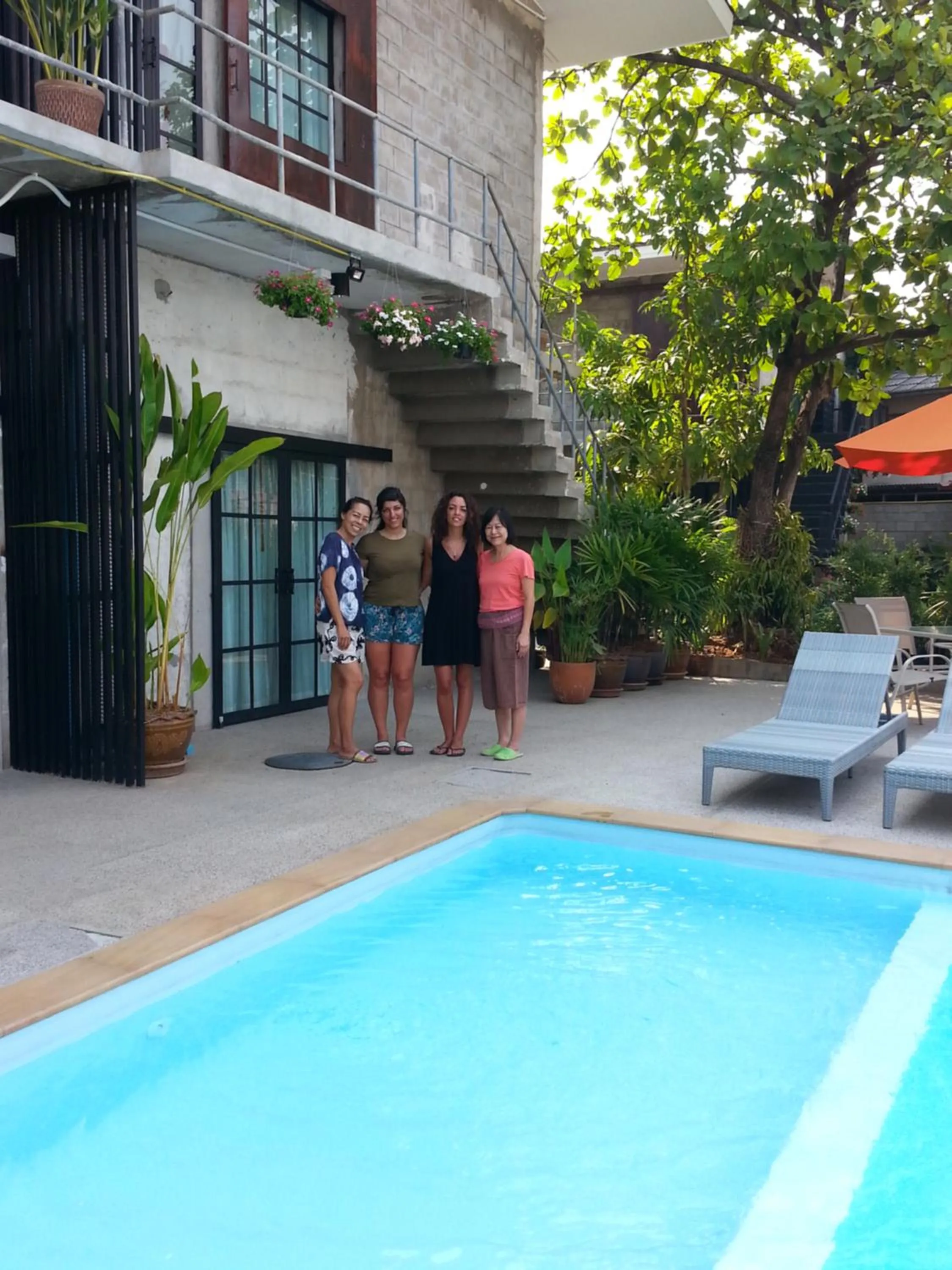 Swimming pool in What's Up Chiang Mai