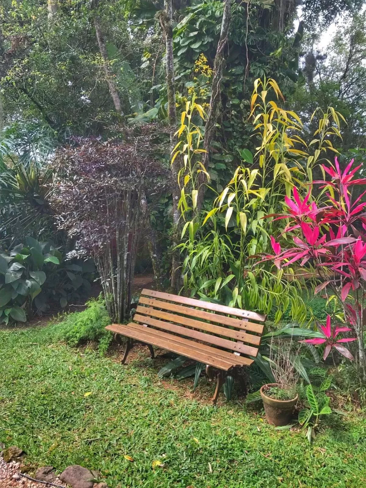 Garden in Pousada Canto Bella Terra