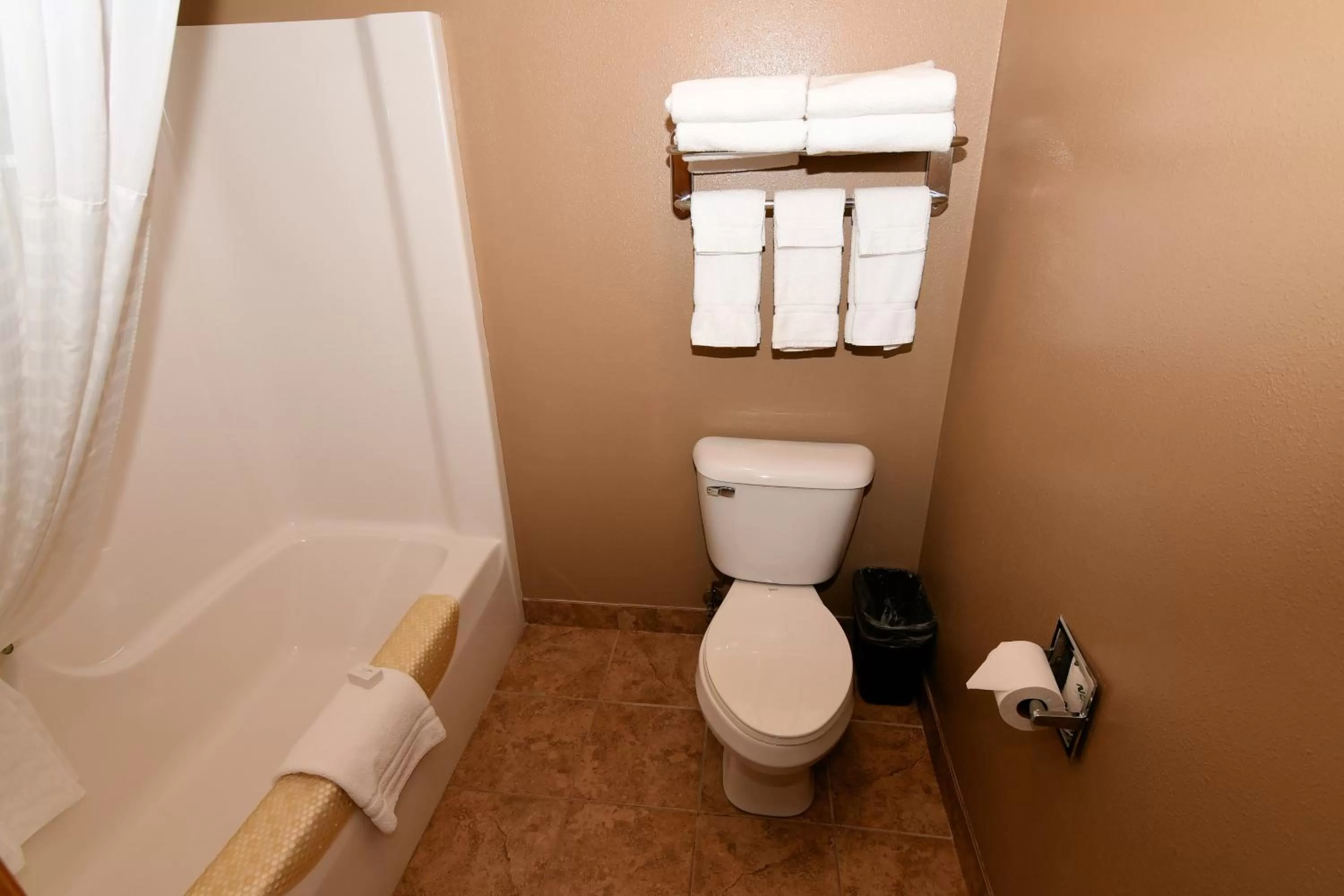 Toilet in Cobblestone Inn & Suites - Denison | Majestic Hills
