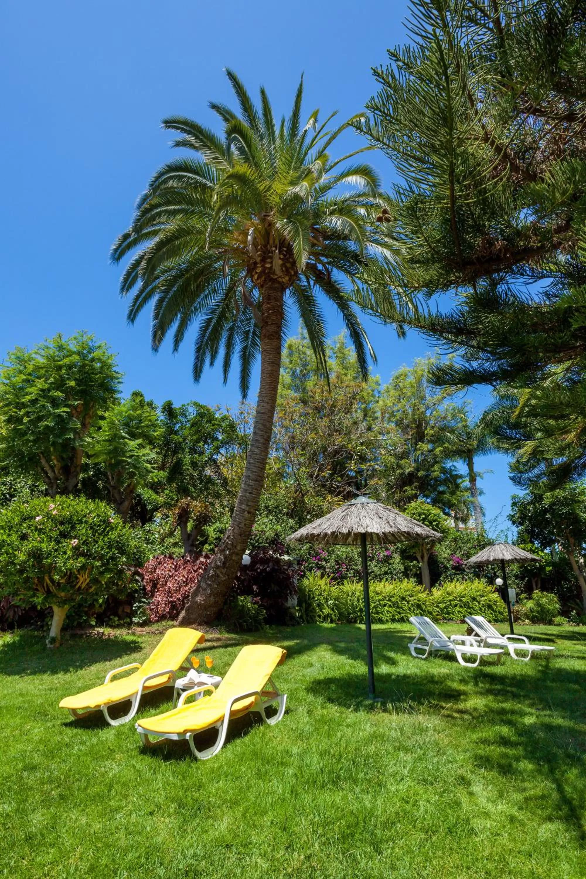 Garden in Apartamentos Masaru