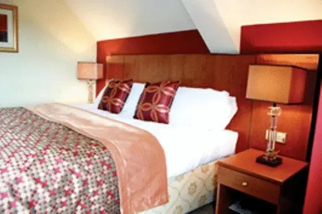 Double Room - single occupancy - Disability Access in Silverbirch Hotel Double Room - single occupancy - Disability Access in Silverbirch Hotel