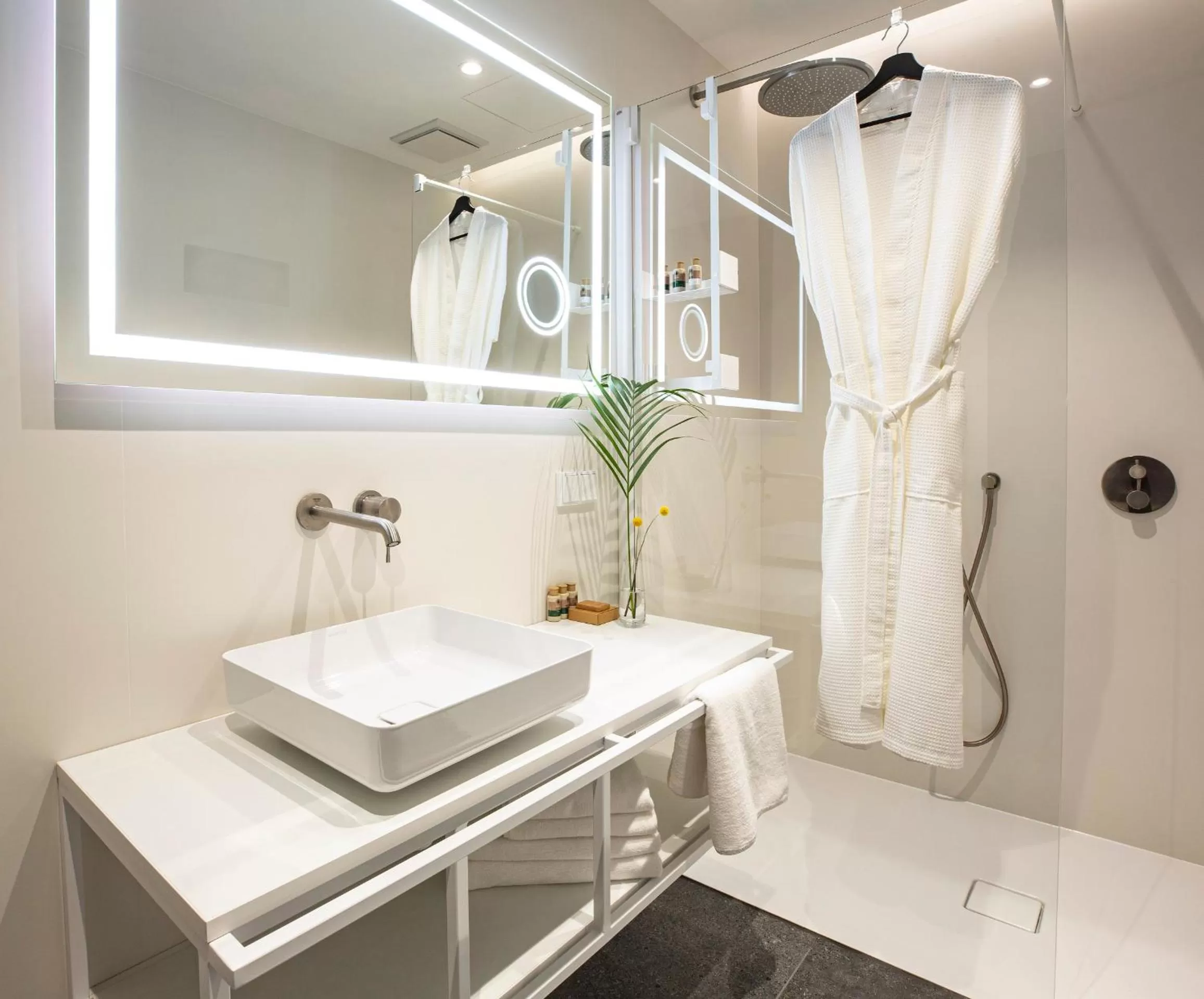 Shower in Hotel 1231