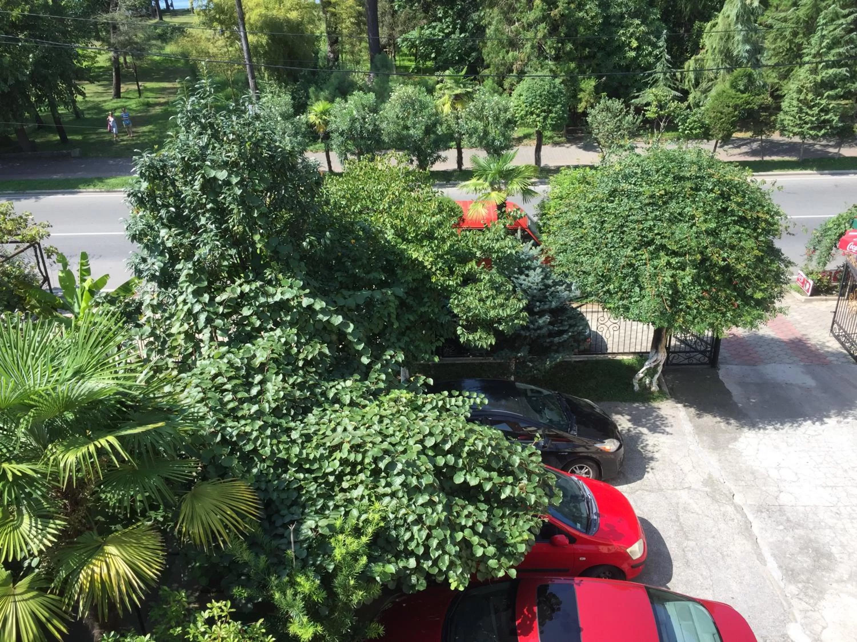 Garden view in Hotel Estonia Two