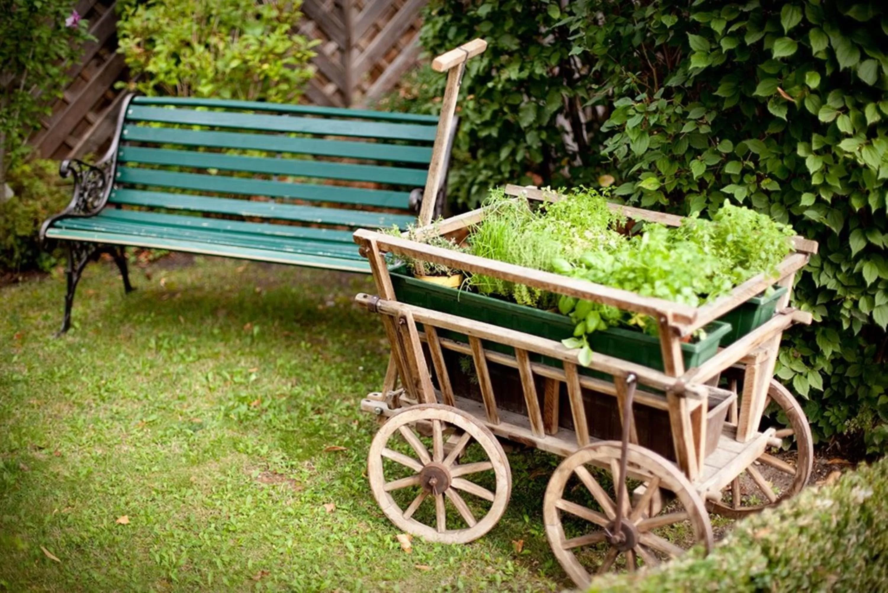 Patio, Garden in Hotel Schäfflerwirt