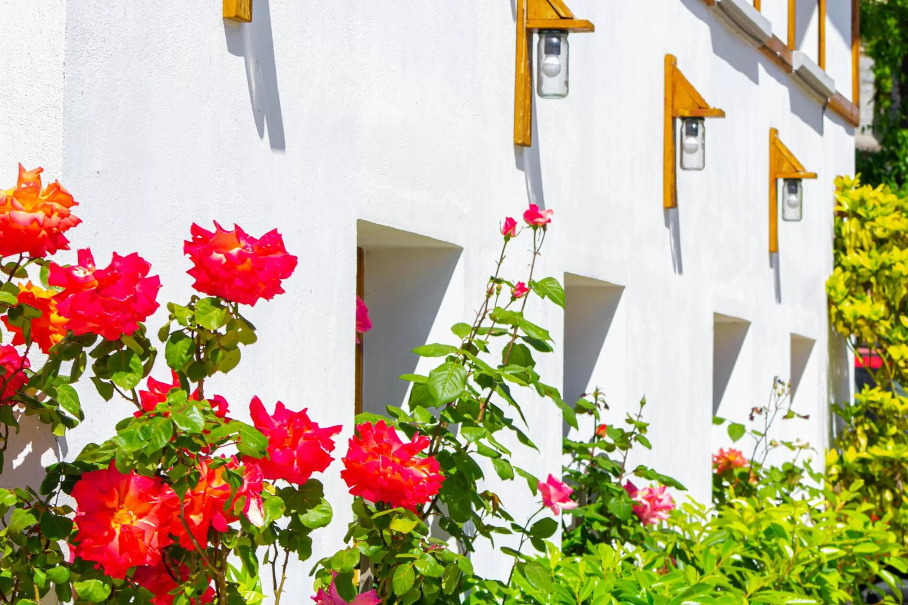 Property Building in Hotel Bebej Tradicional