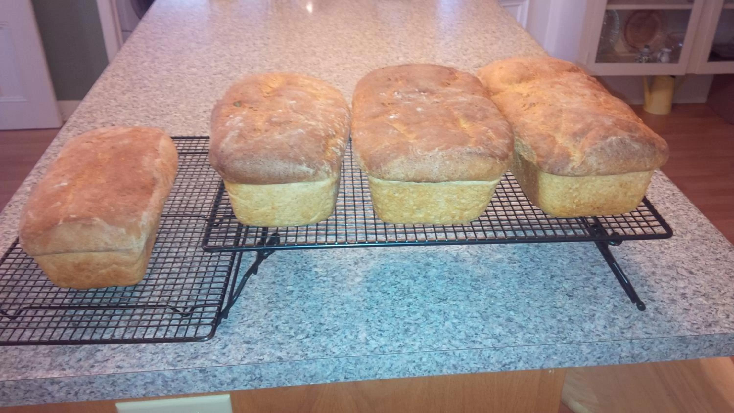 Food and drinks in Farmhouse Inn B&B