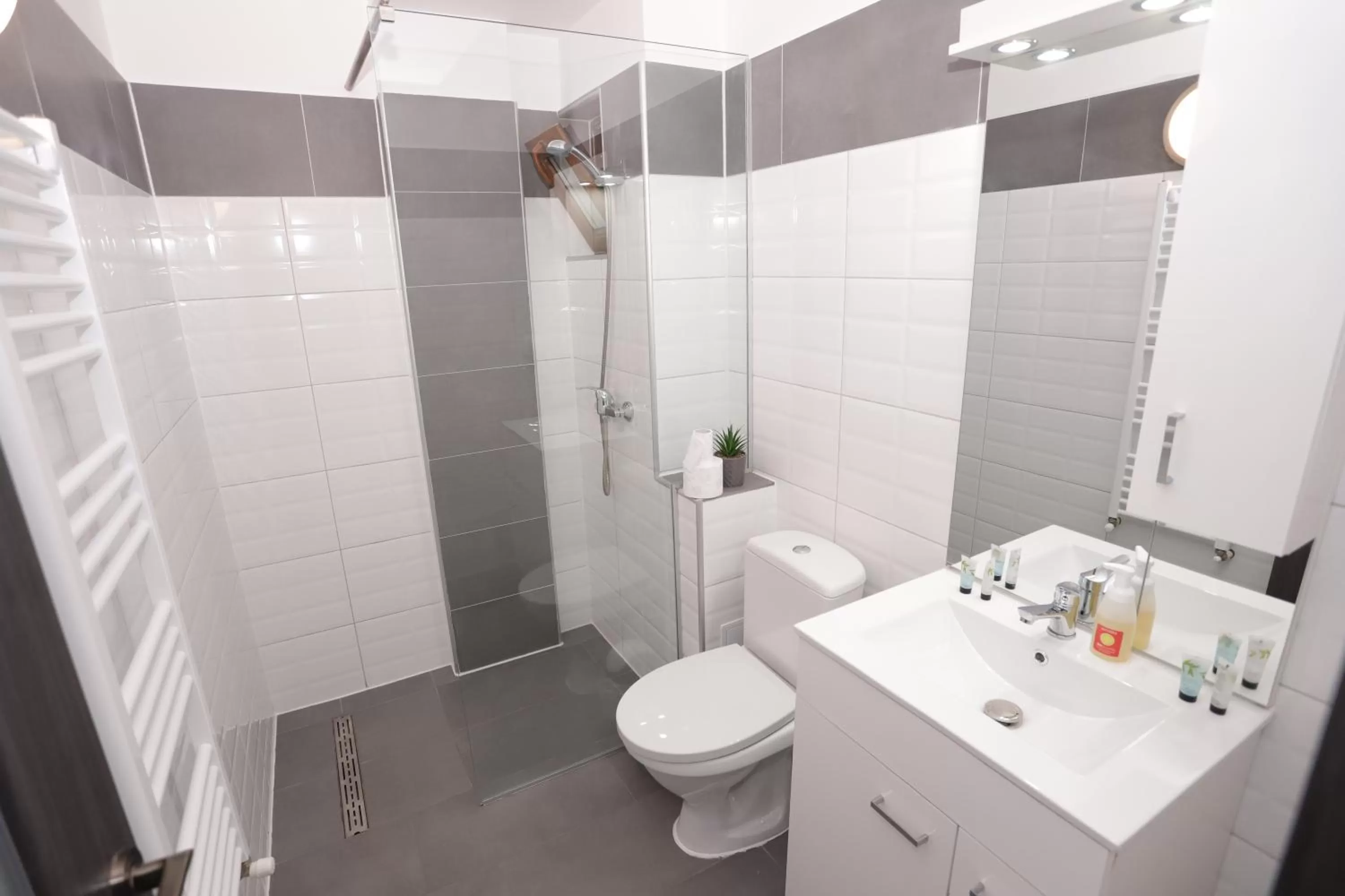 Bathroom in CENTRAL VIEW Craiova