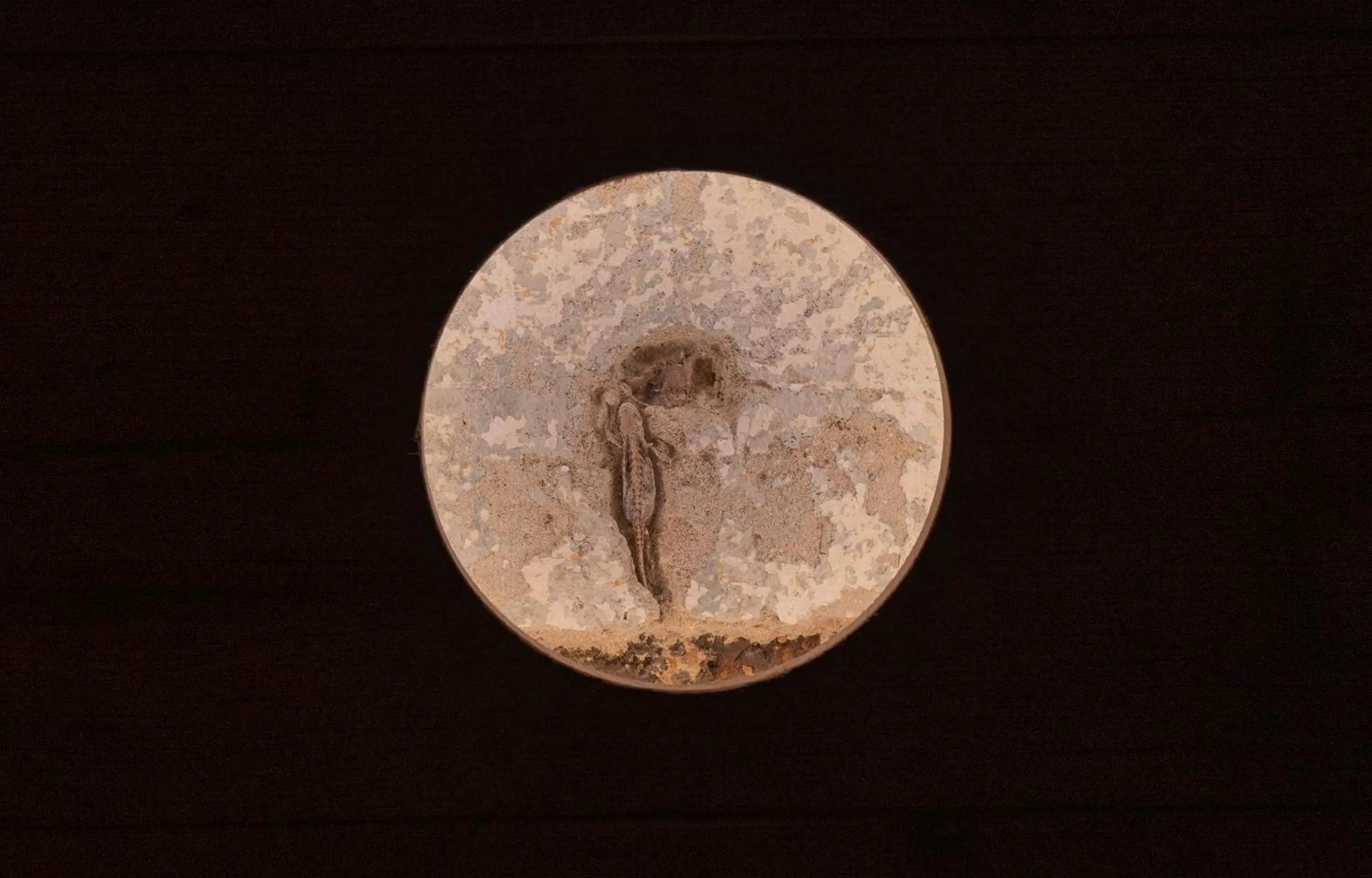 Decorative detail in LANDHOTEL ALTE ZOLLSTATION- Historical Building