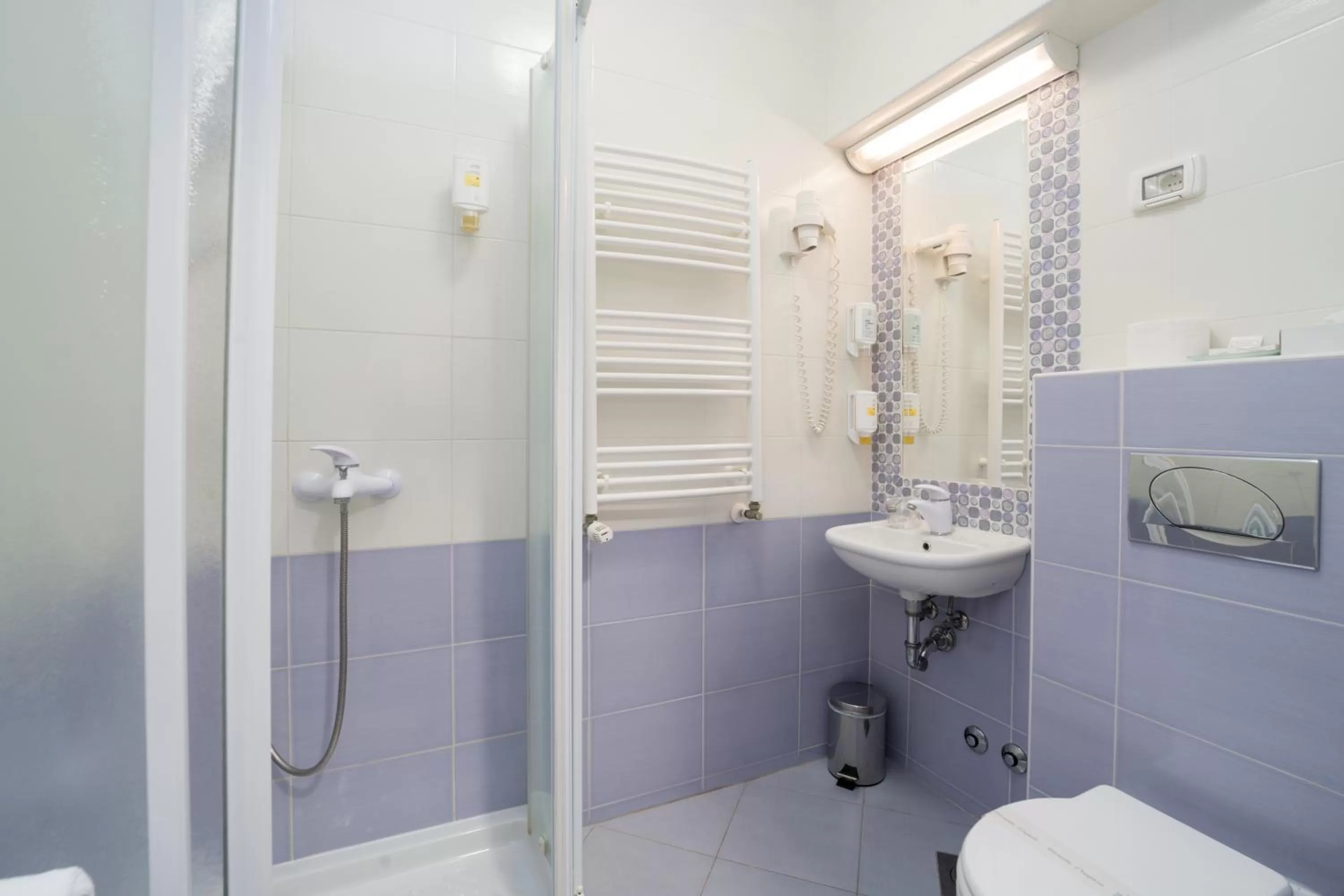 Shower in Hotel Zlatna Vala