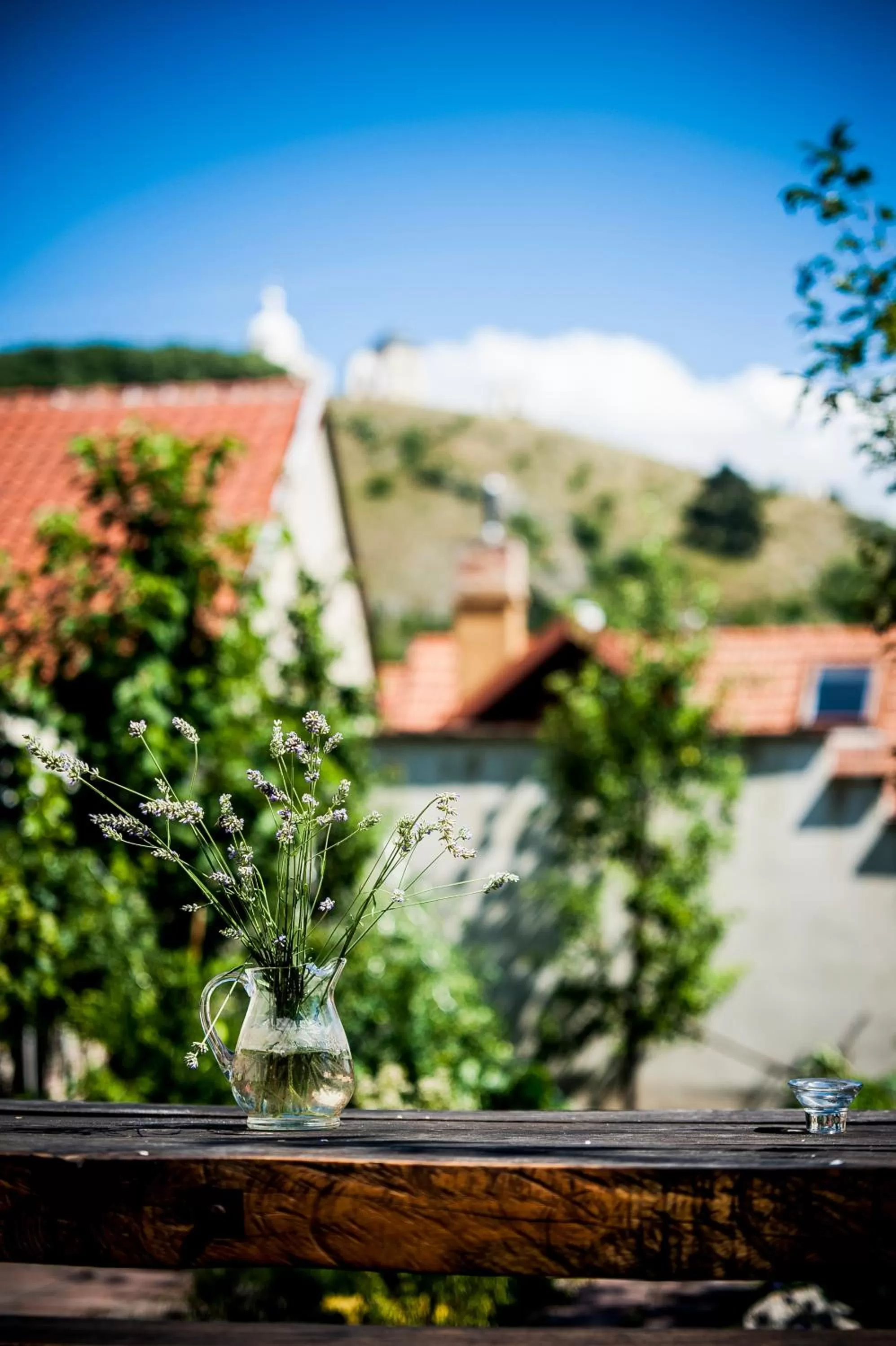 Off site in Boutique Hotel Golf Garni