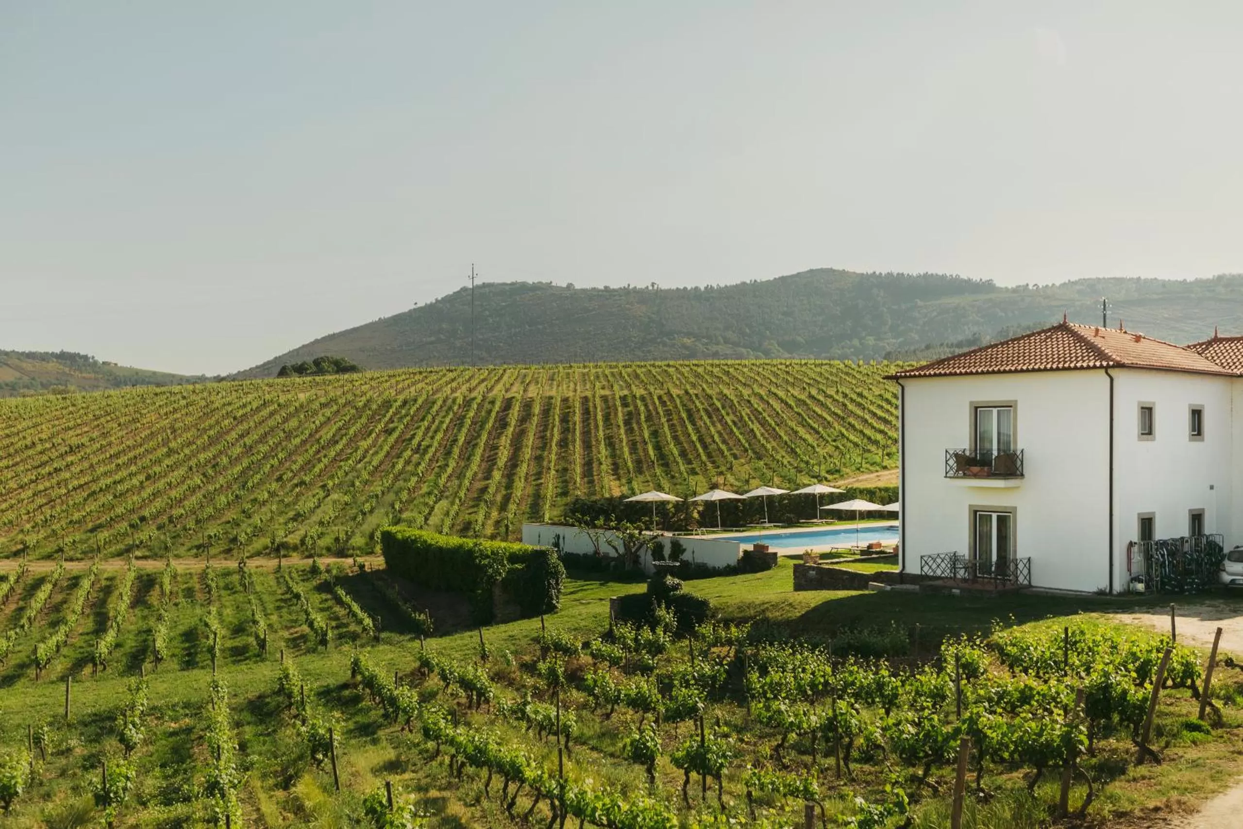 Property building in The Manor House Celeirós