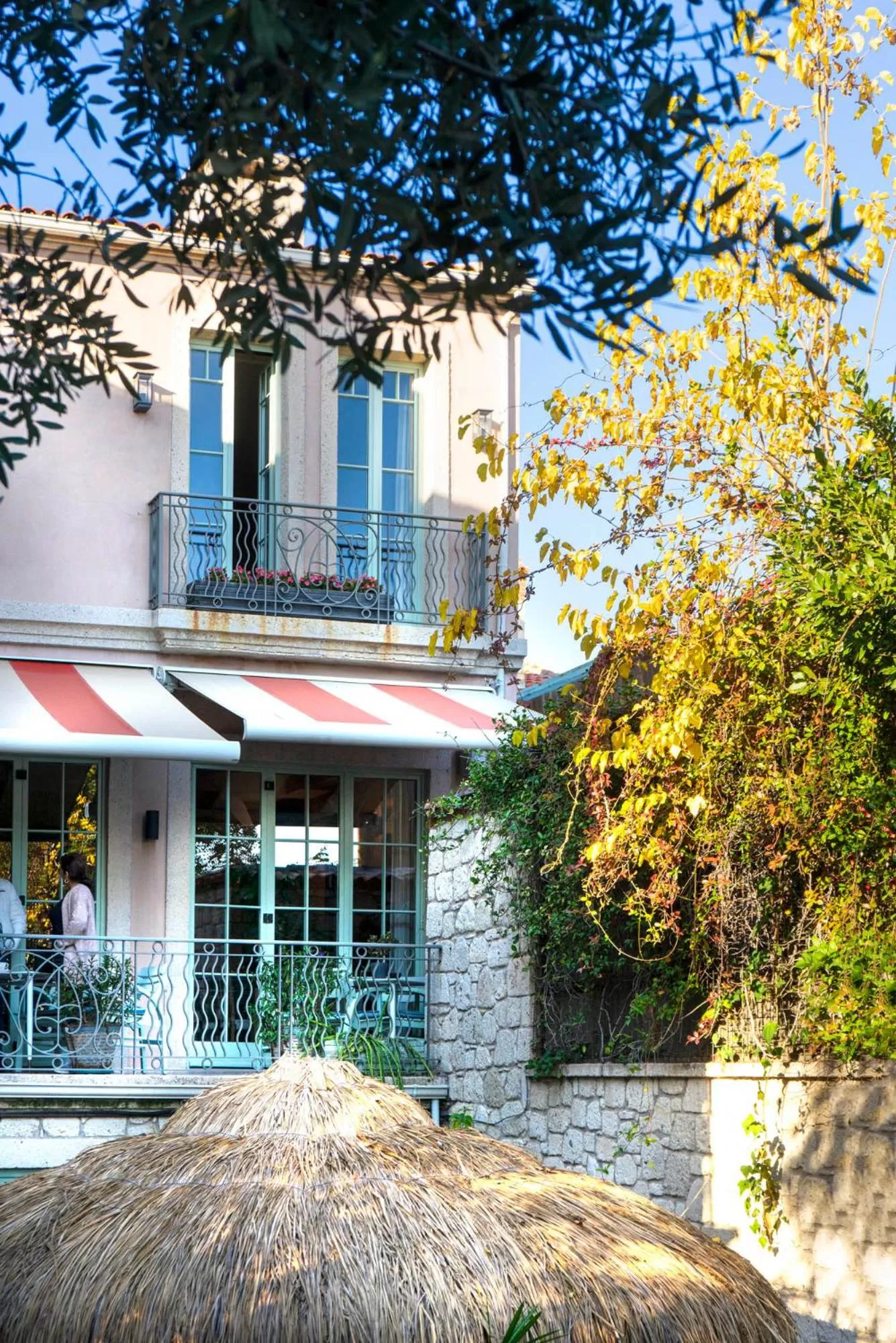 Restaurant/places to eat in Alavya