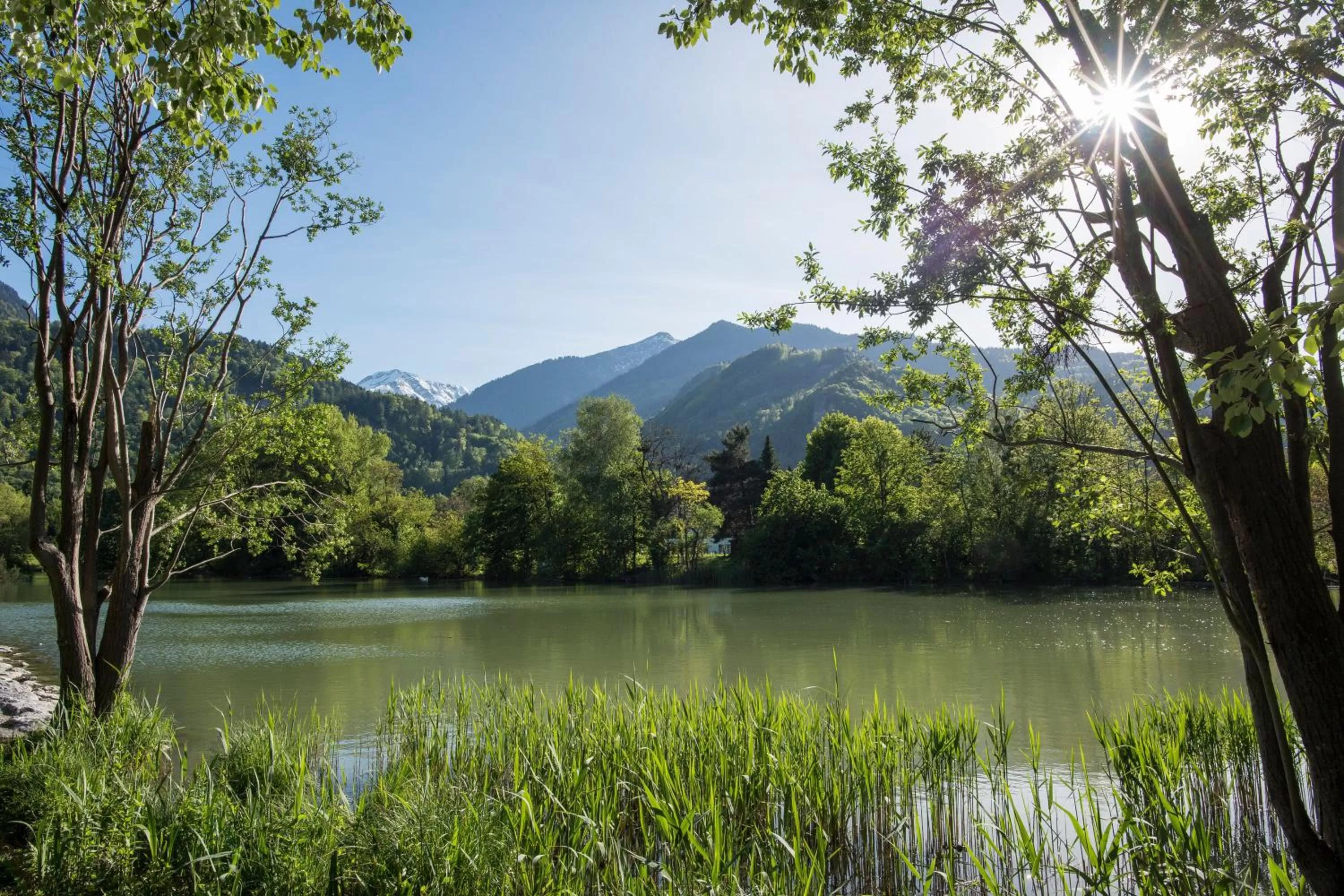 Area and facilities, Natural Landscape in Krone by b-smart