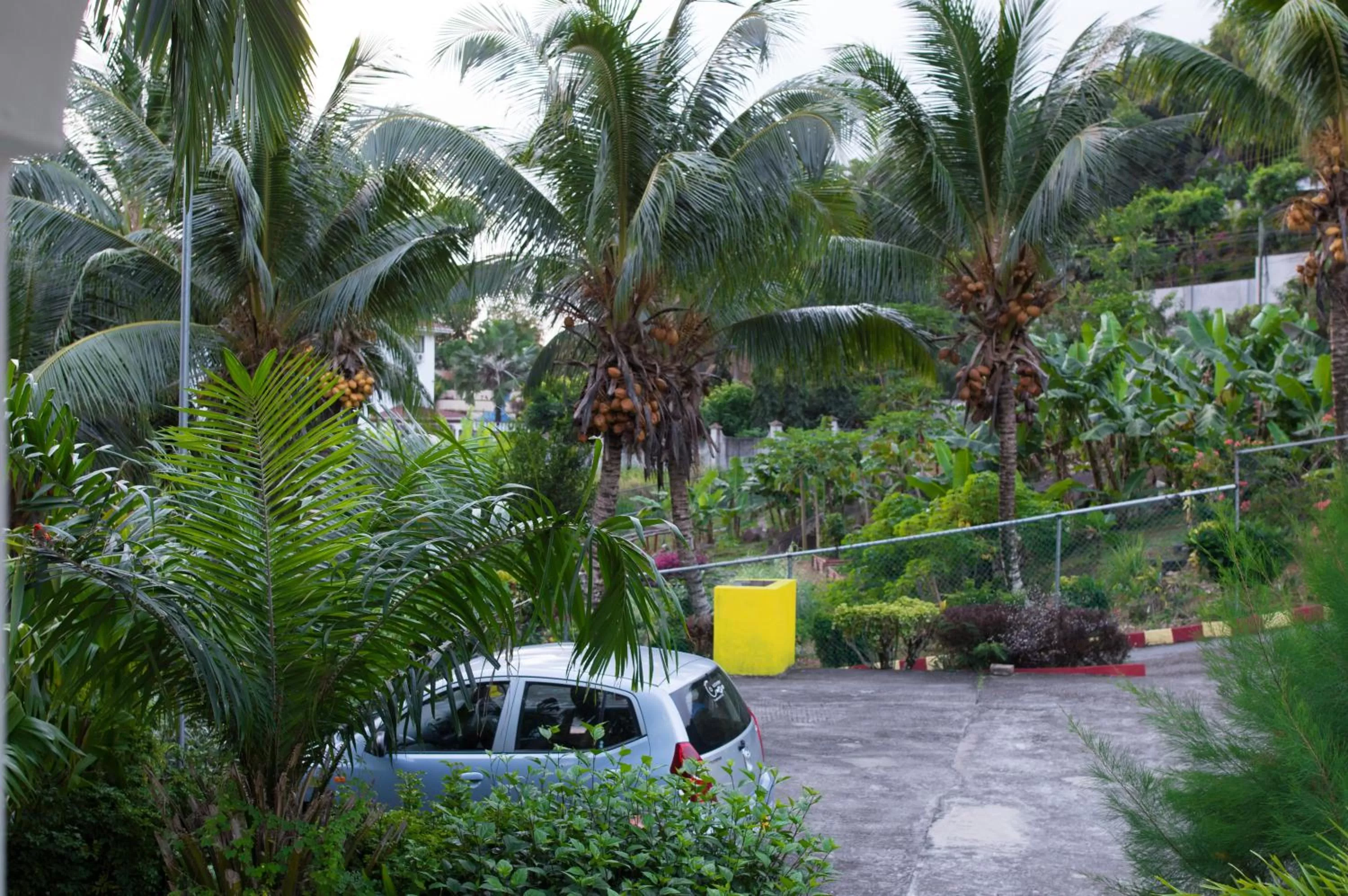 Garden in Evergreen Apartments