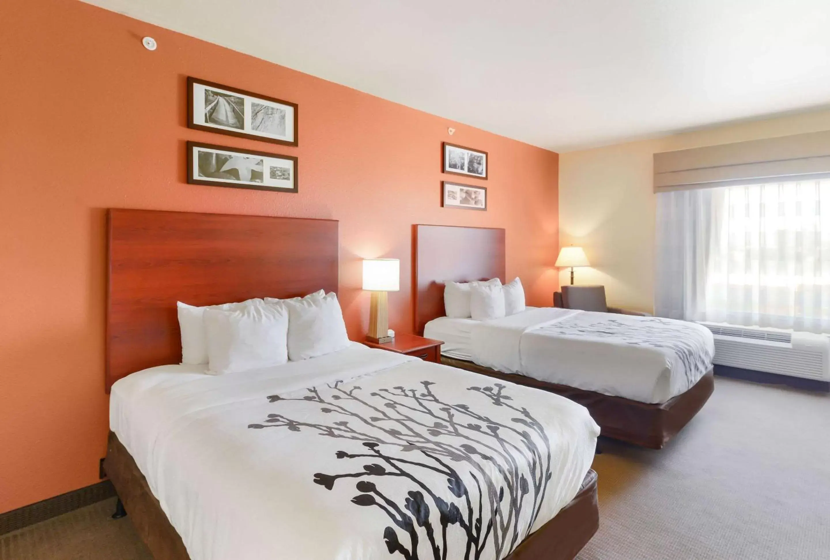 Queen Room with Two Queen Beds - Accessible/Non-Smoking in Sleep Inn & Suites Midland West Queen Room with Two Queen Beds - Accessible/Non-Smoking in Sleep Inn & Suites Midland West