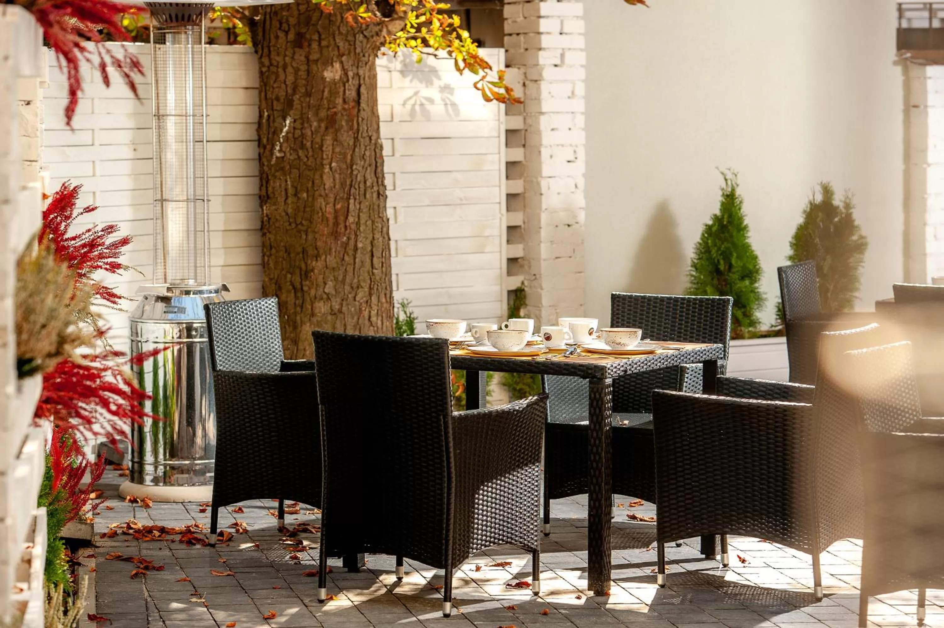 Patio in Plaza Boutique Hotel