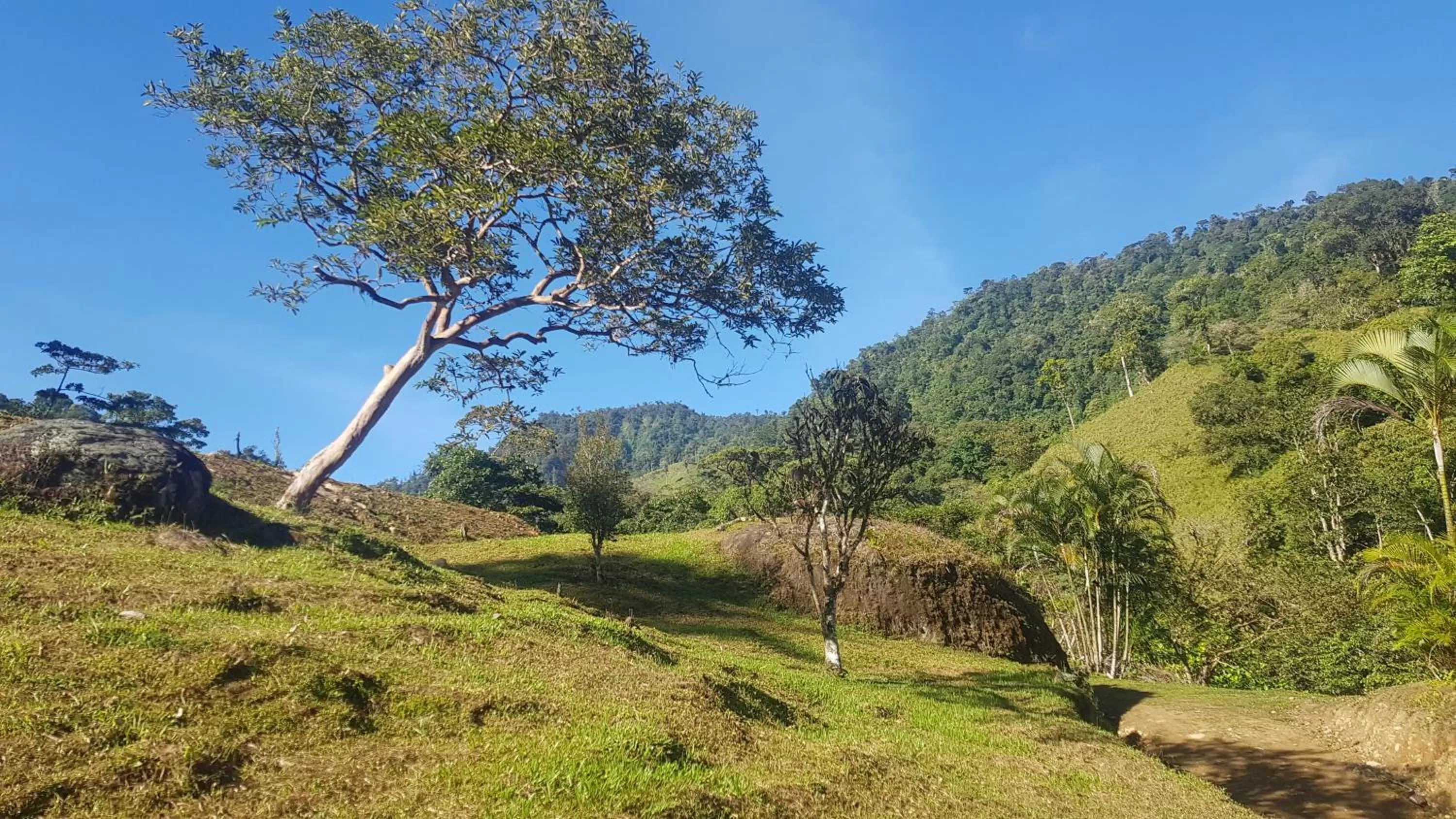 Natural Landscape in Hotel Rivel - Adventure & Nature Retreat