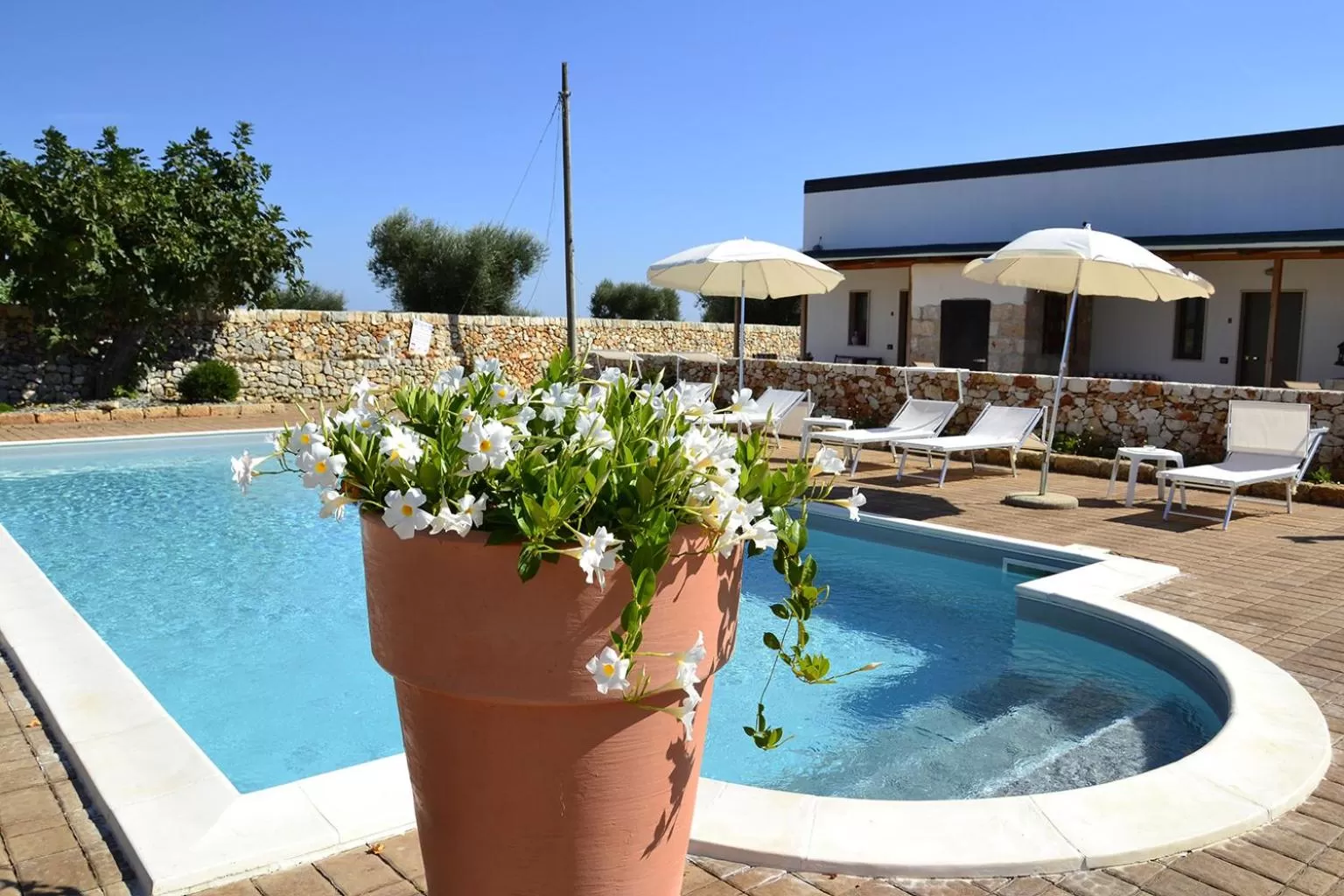 Pool view in Agriturismo Masseria Alberotanza