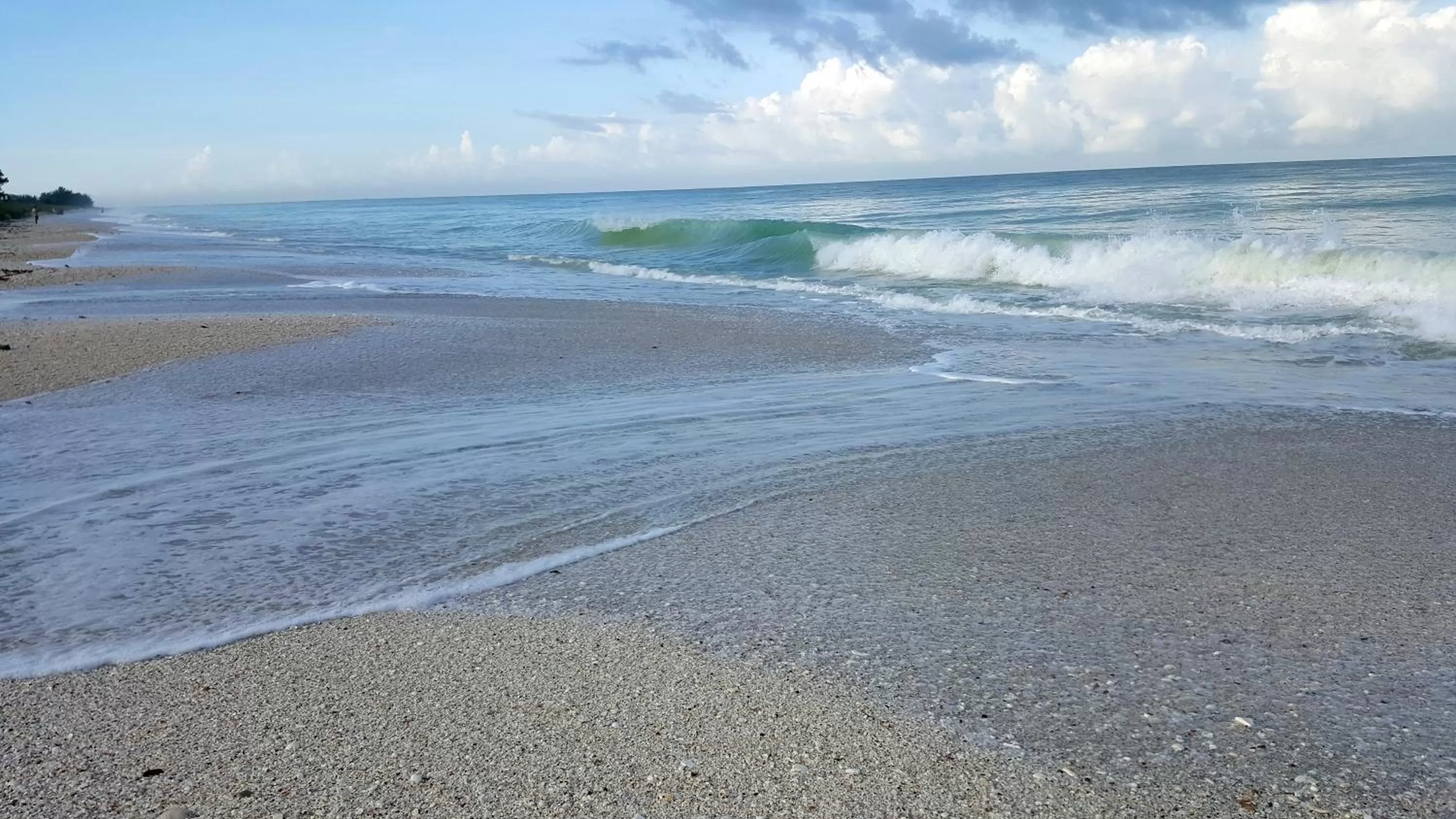 Beach in Casey Key Resort - Gulf Shores