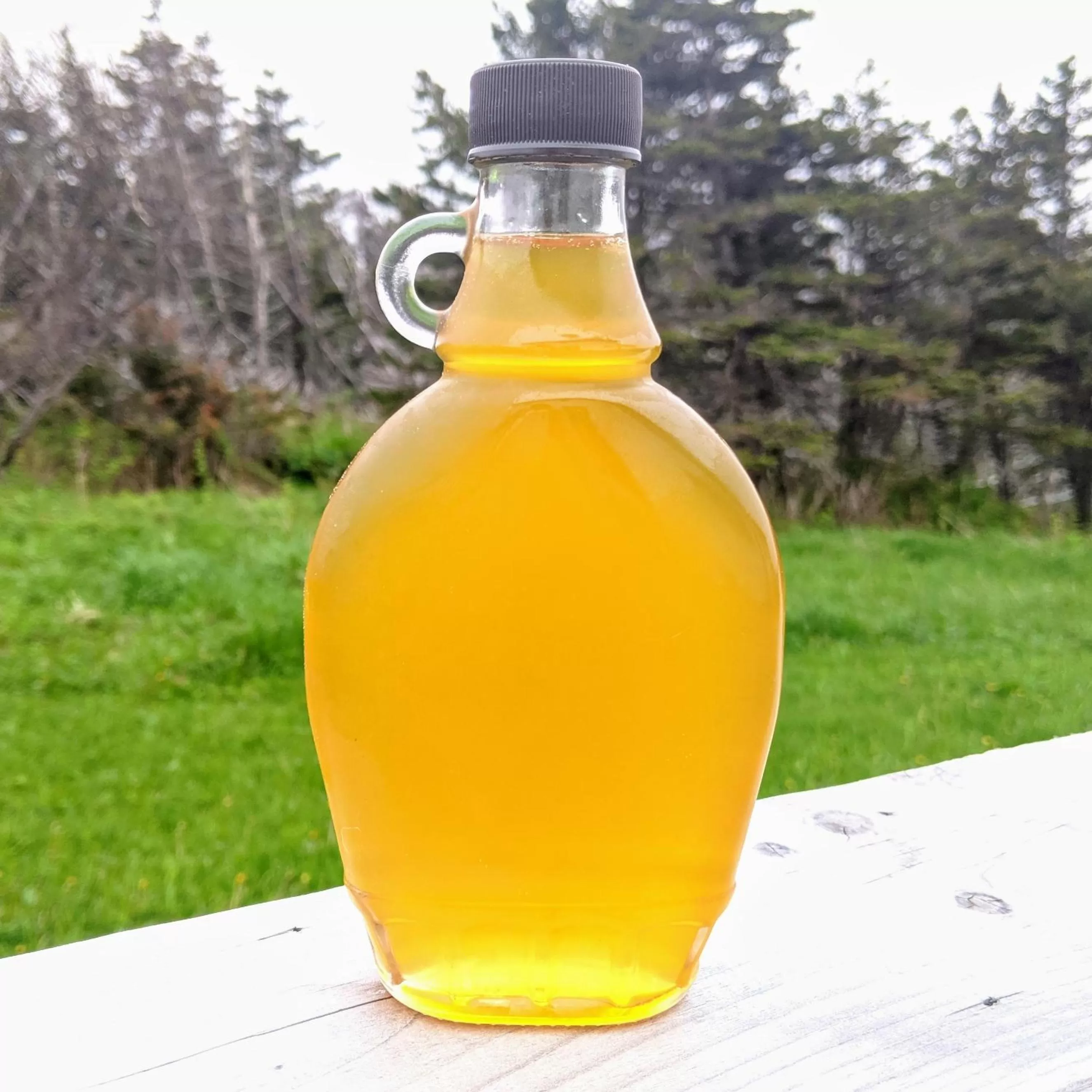 Breakfast in The Turnip Bed and Breakfast