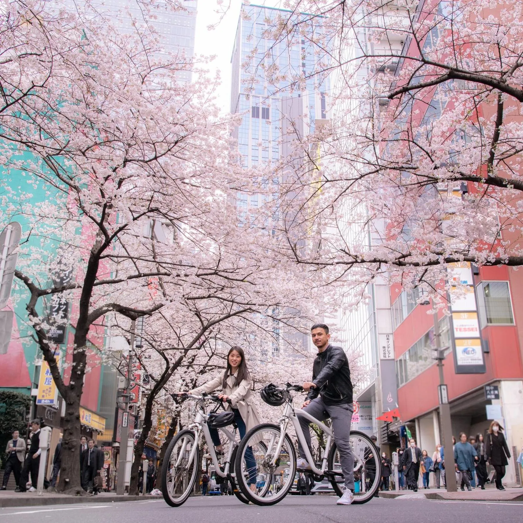 Spring in Shangri-La Tokyo