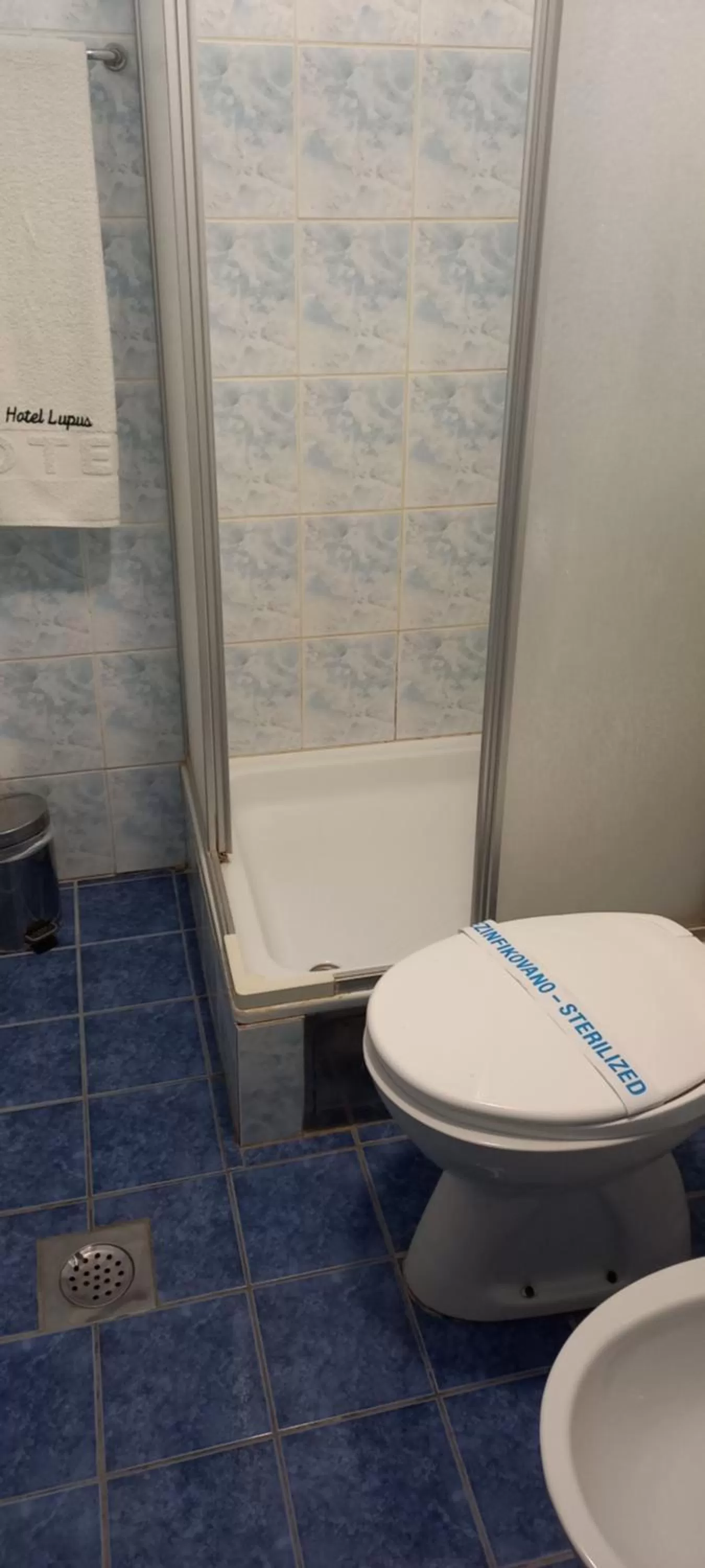 Bathroom in Garni Hotel Lupus