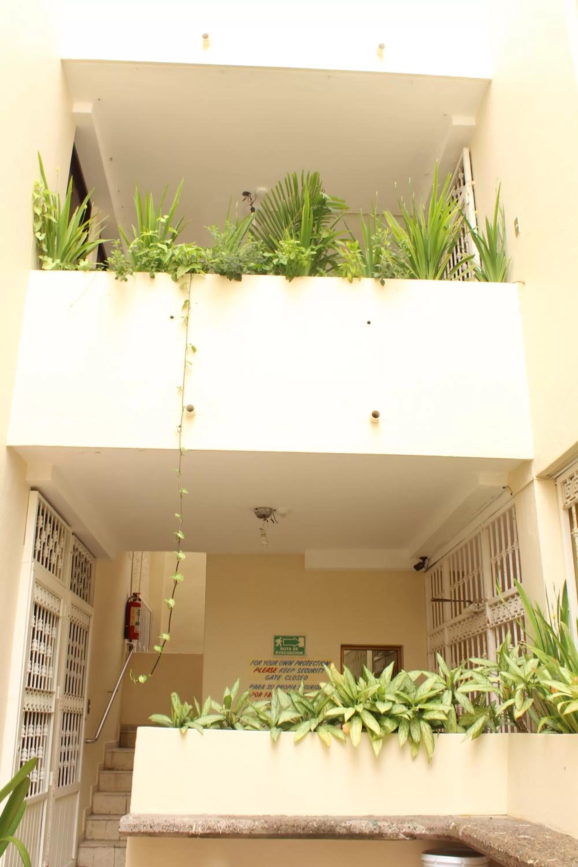 Floor plan in Suites San Luis