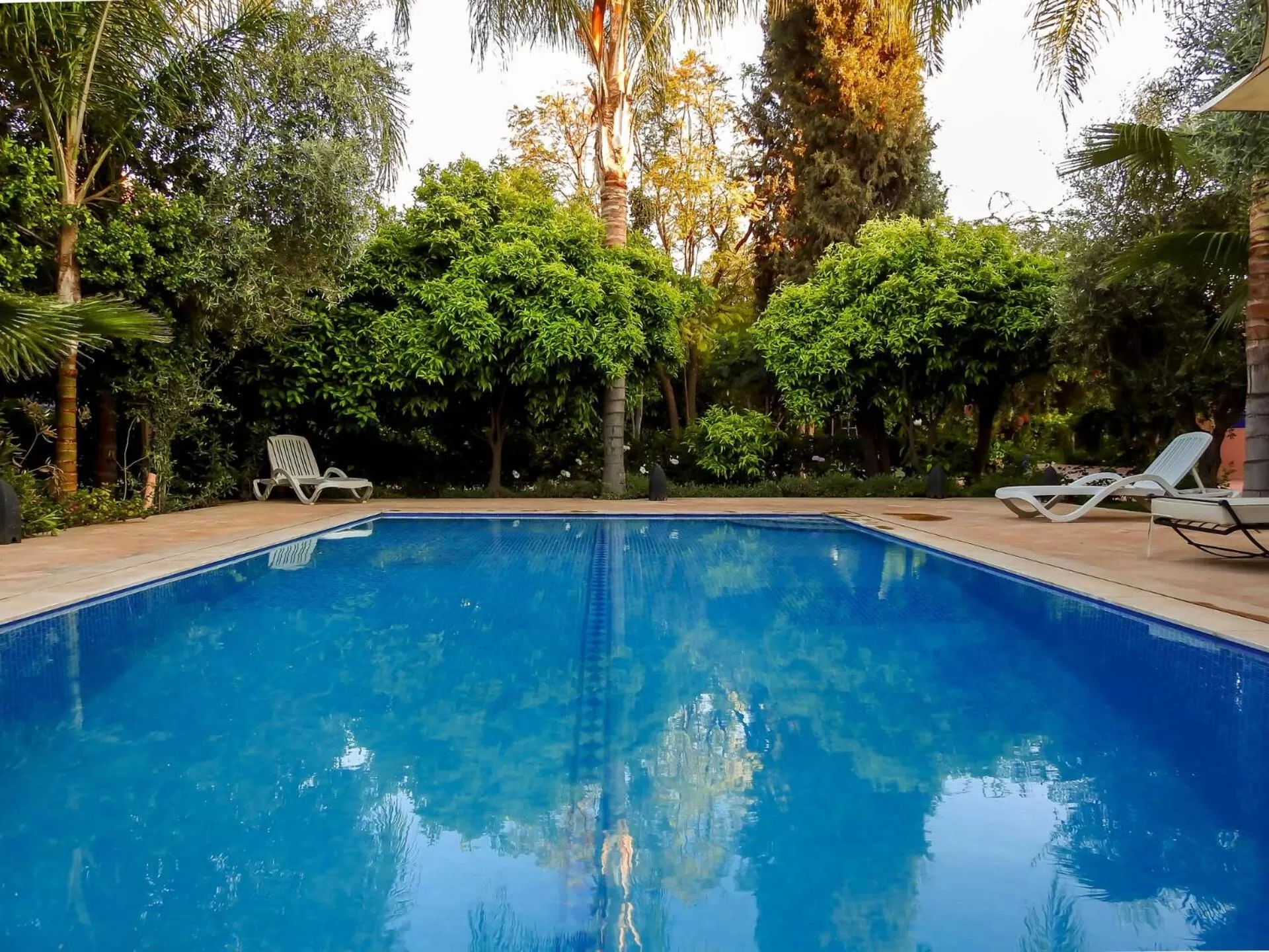 Day, Swimming Pool in Le Bleu House
