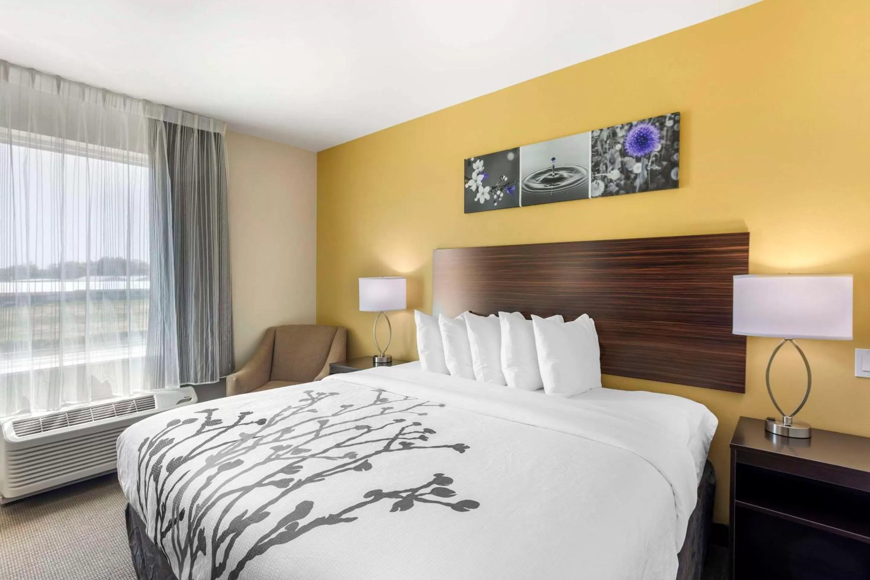 Bedroom, Bed in Sleep Inn North - Central York