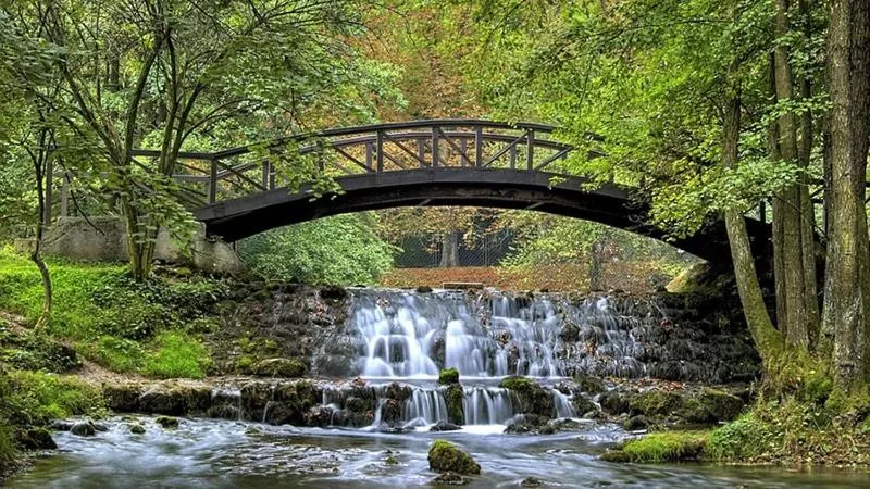 Natural landscape in Hotel Brkic
