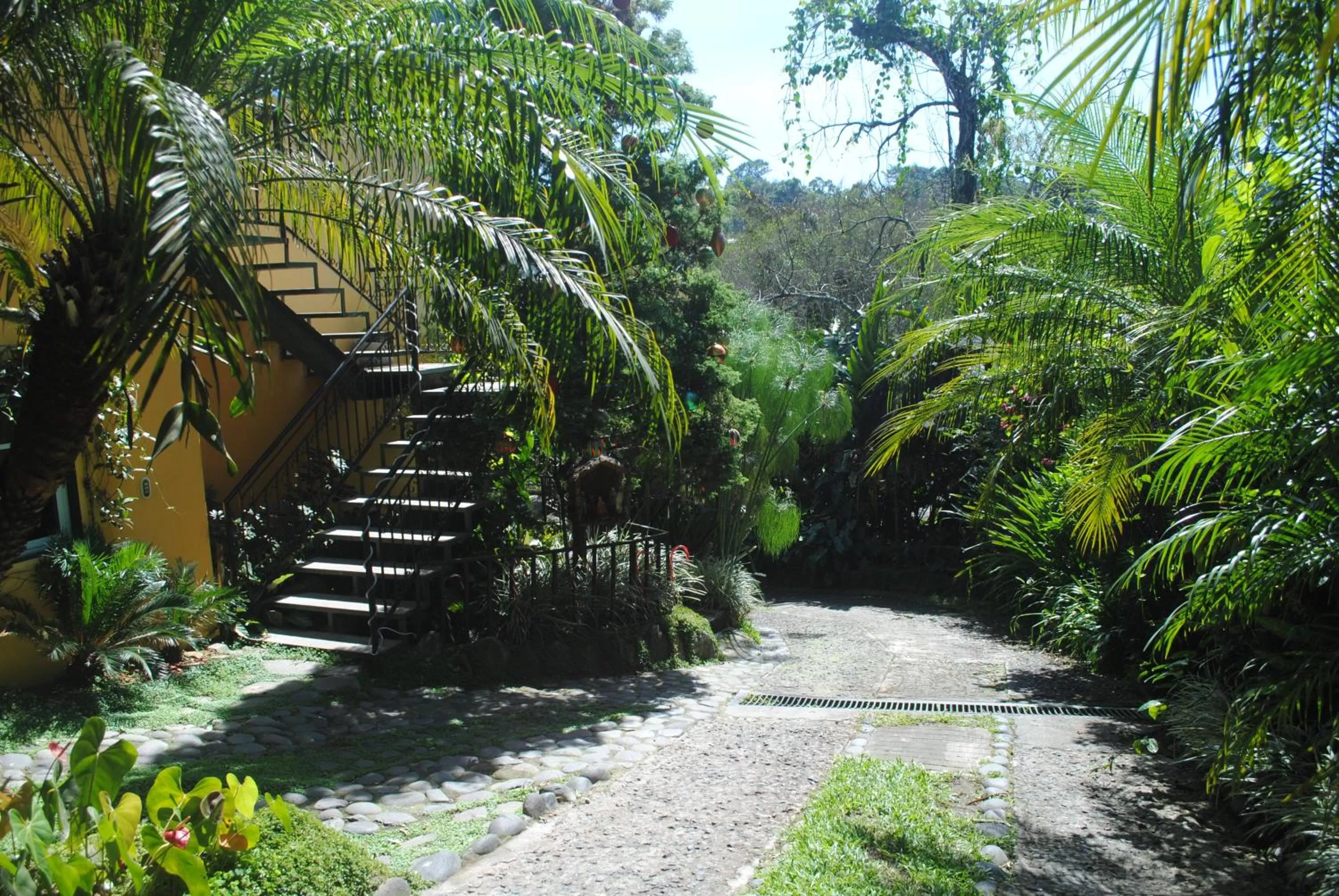 Lobby or reception, Garden in Apart Hotel Valle Verde