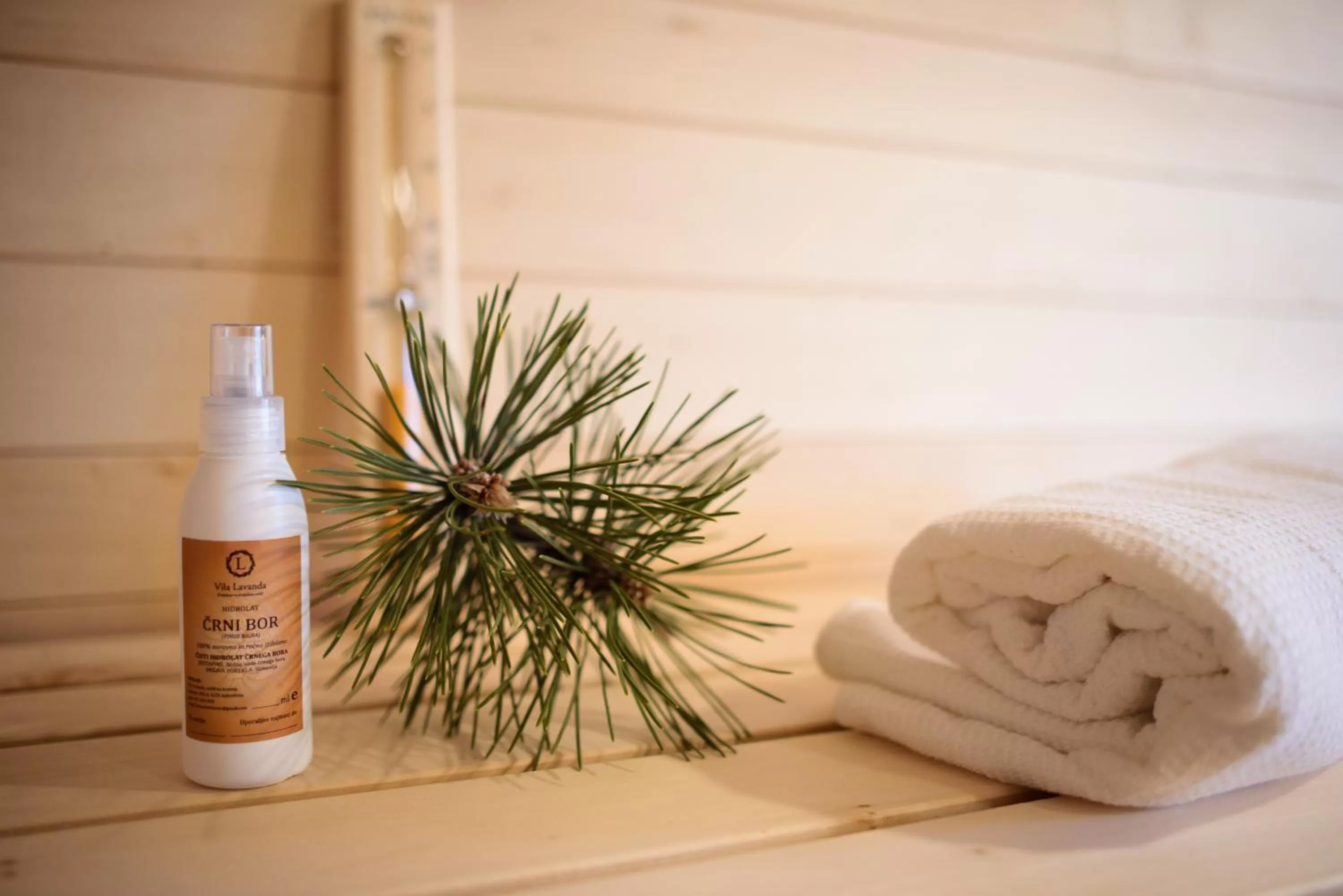 Sauna in Theodosius Forest Village - Glamping in Vipava valley