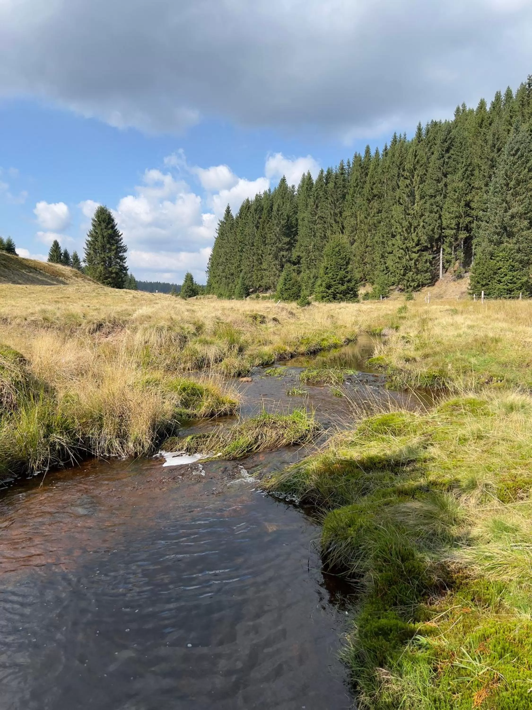 Natural landscape in Vila Jáchymov