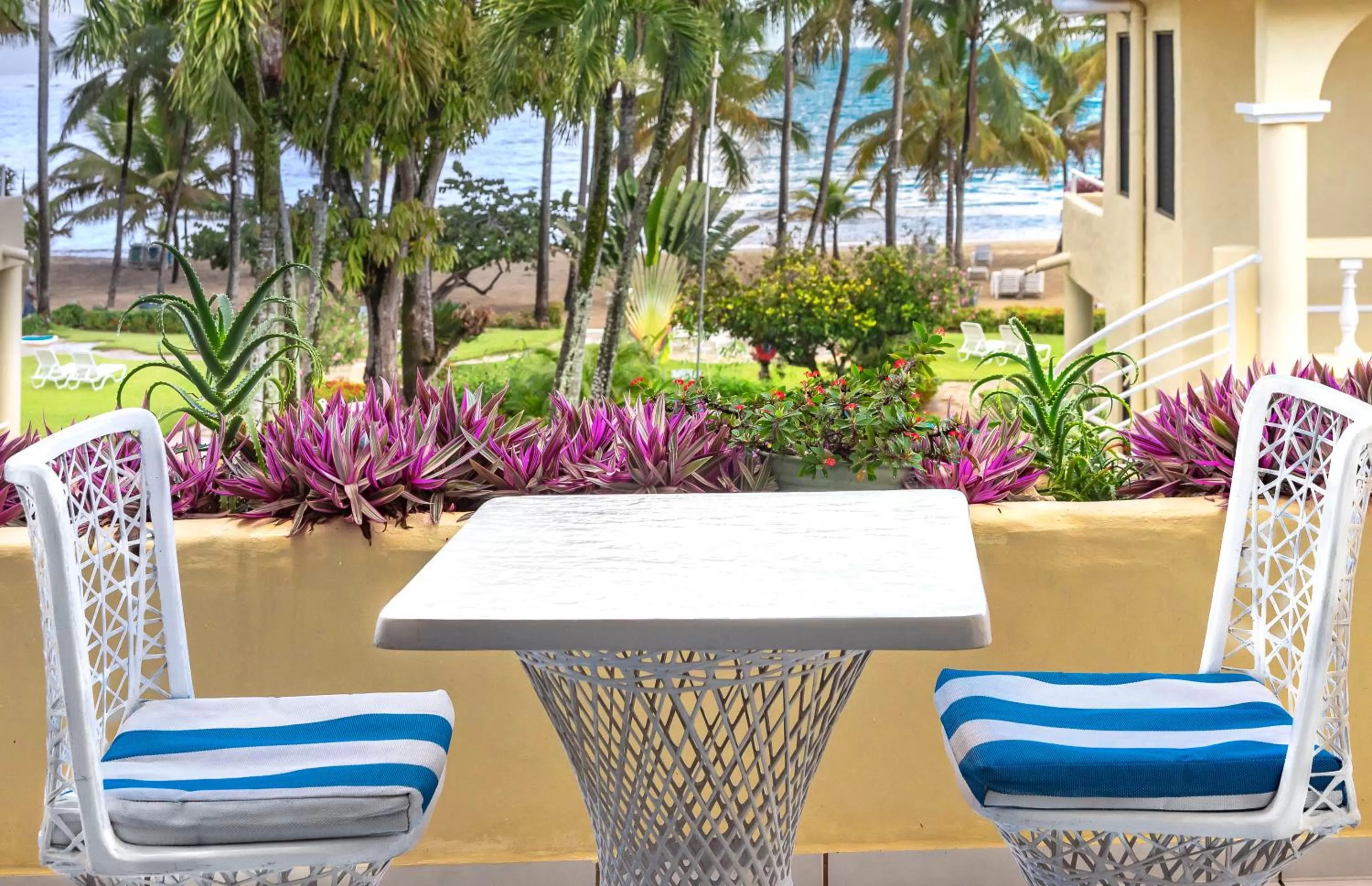 Cabarete Palm Beach Condos