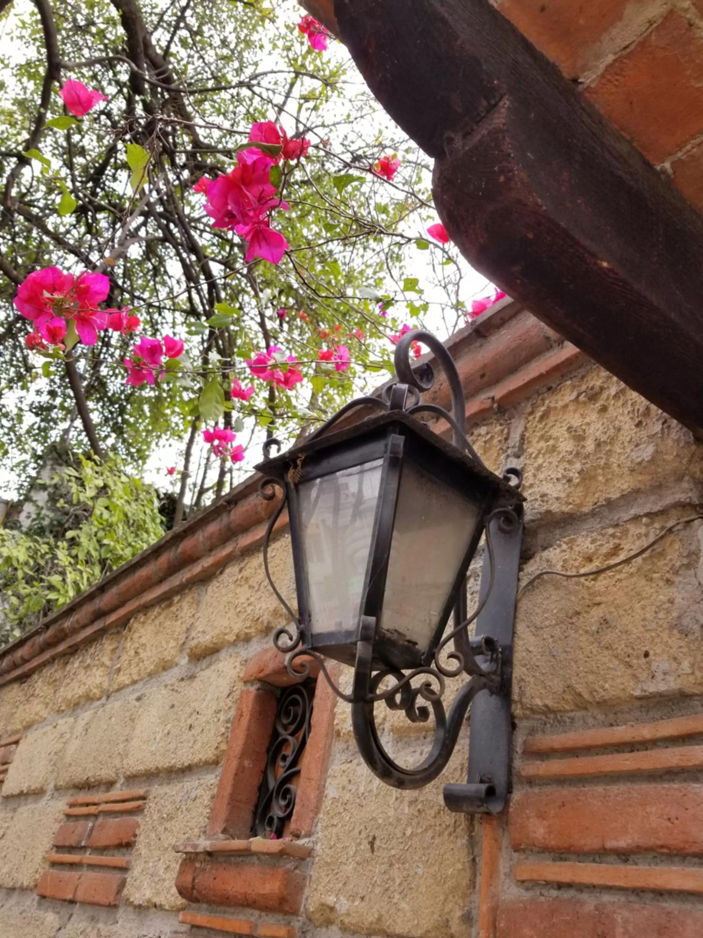 Neighbourhood in Casa Q BnB