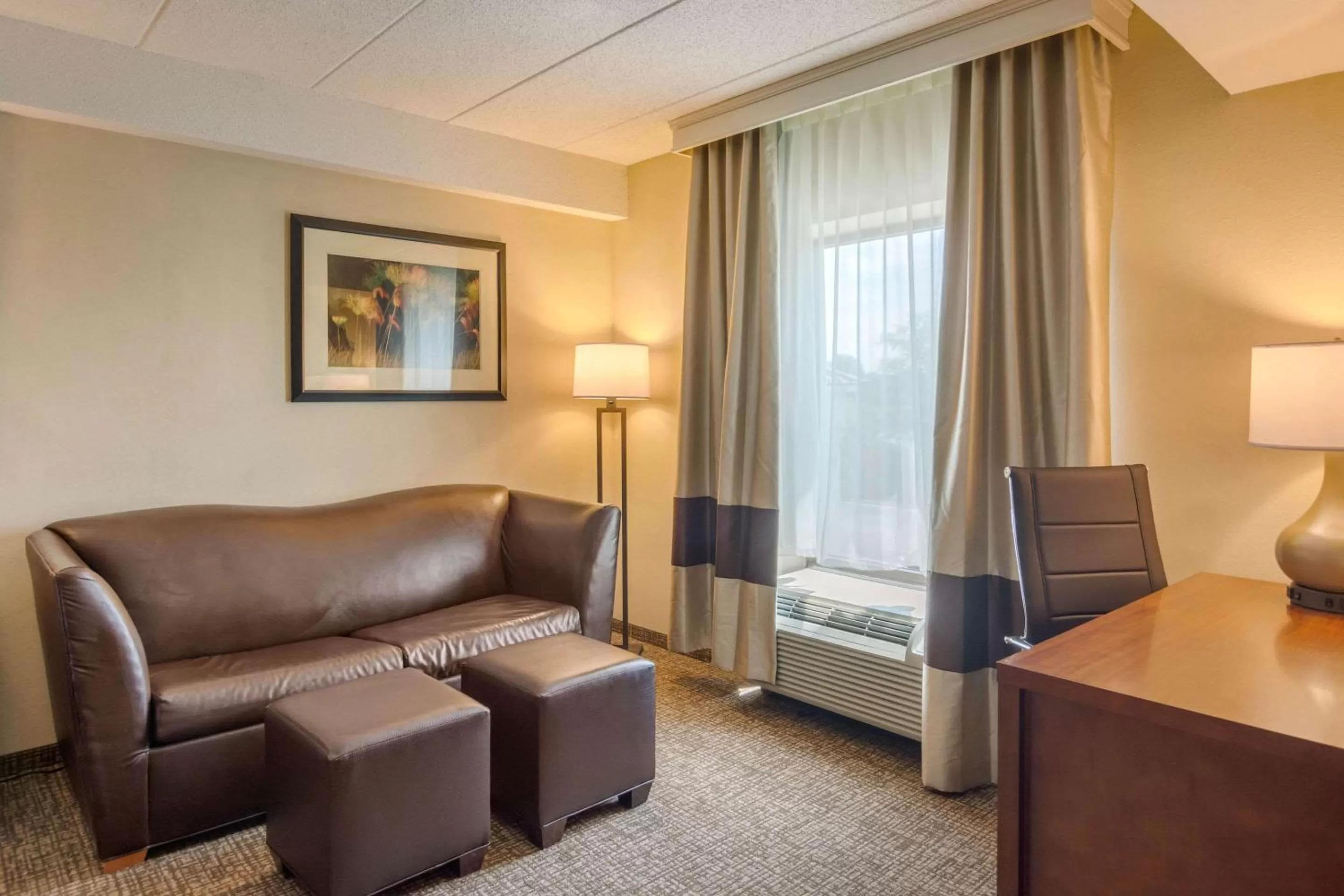 Photo of the whole room in Comfort Suites Southpark