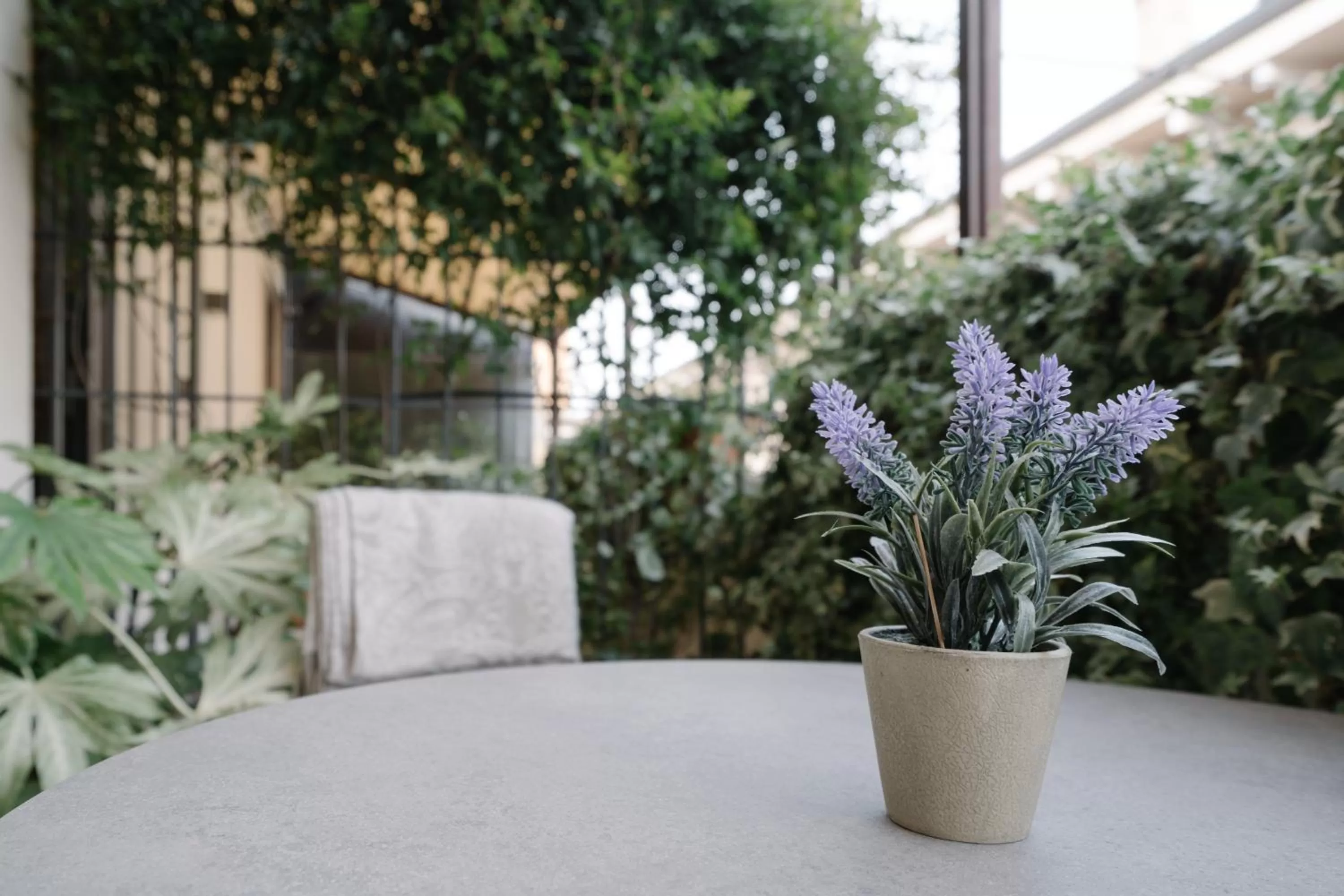 Balcony/Terrace in Hotel Giulietta e Romeo ***S