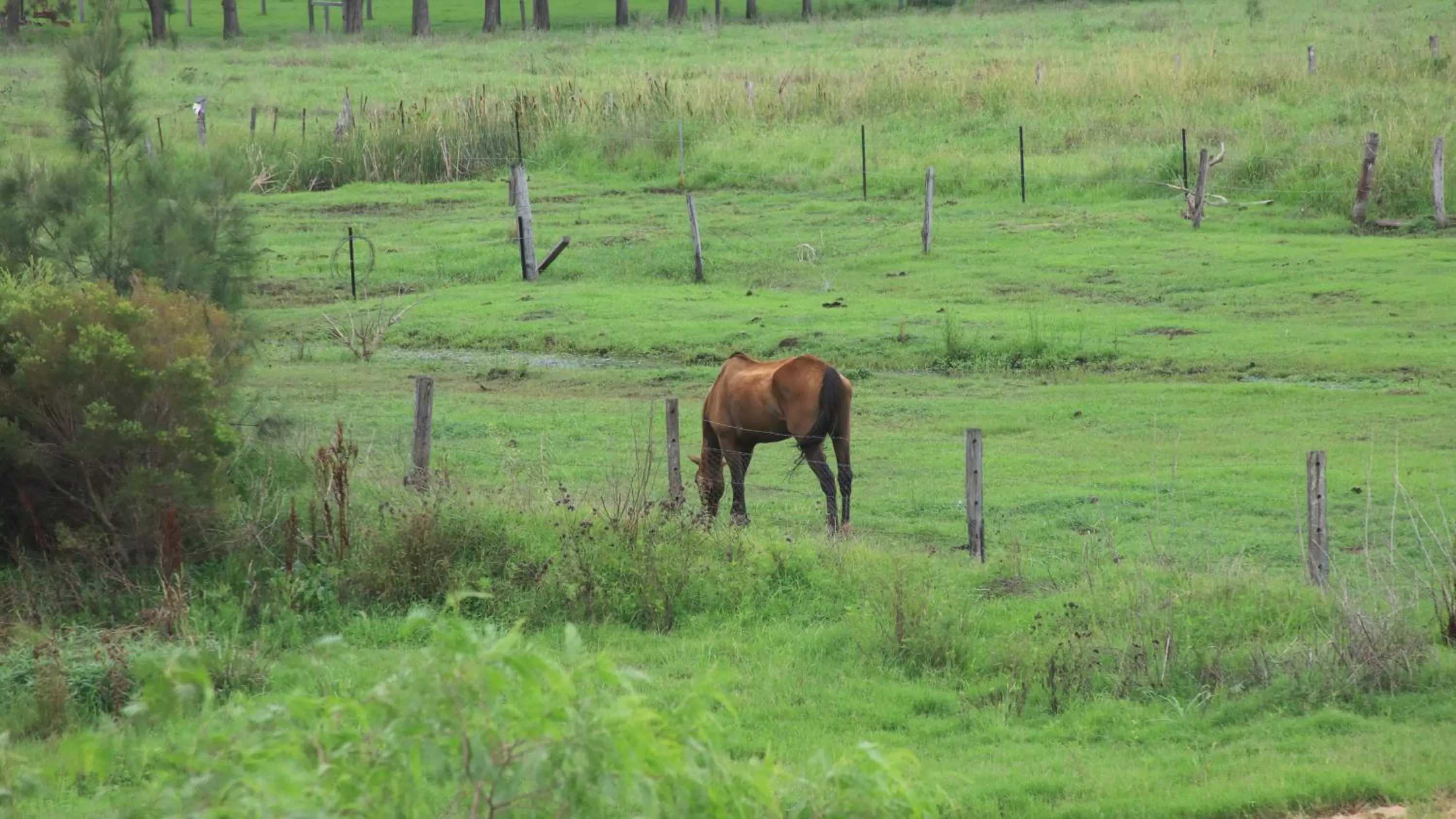 Neighbourhood in Andavine House - Bed & Breakfast