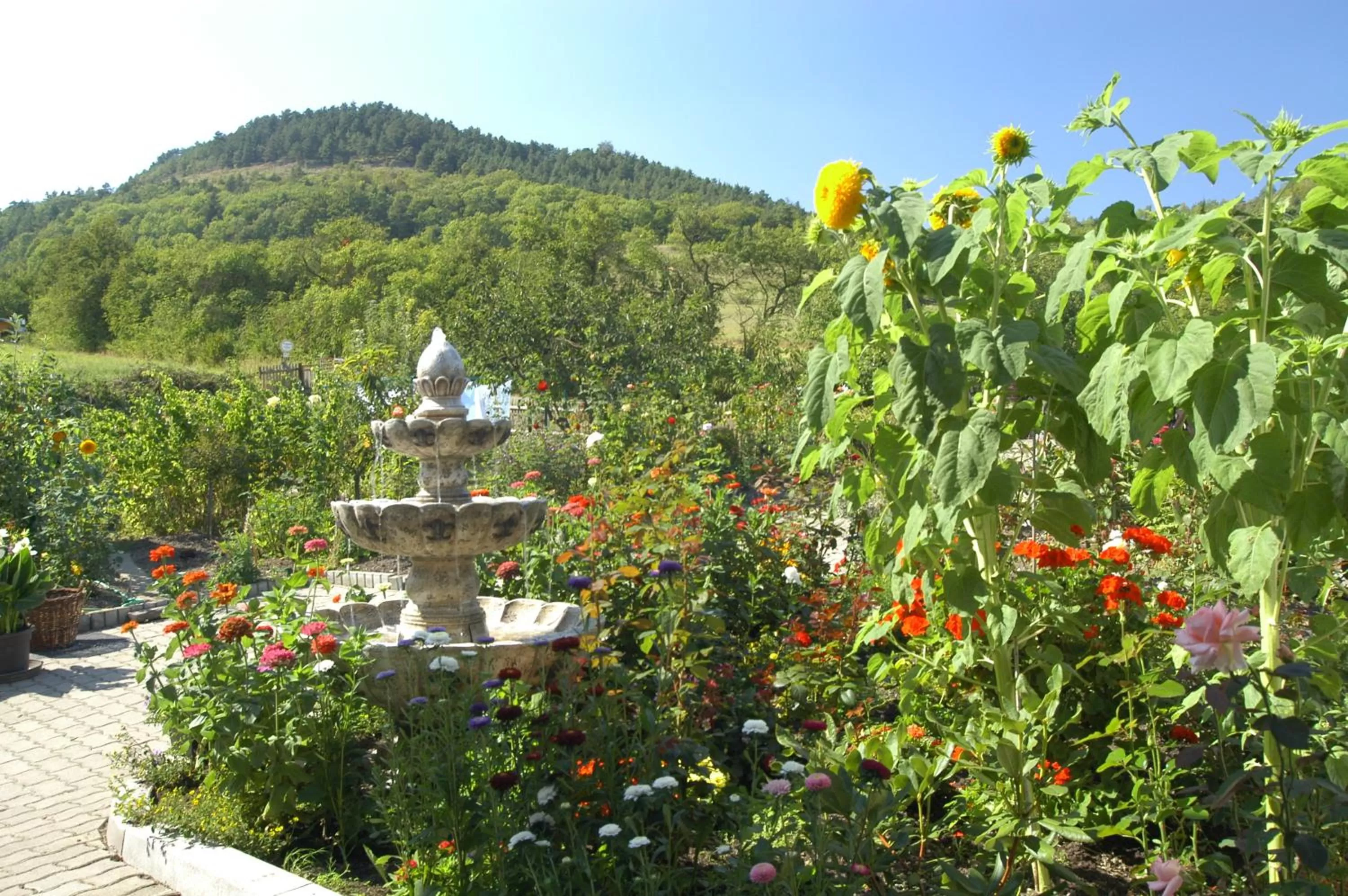 Garden in Hotel Haus Orchideental Jena